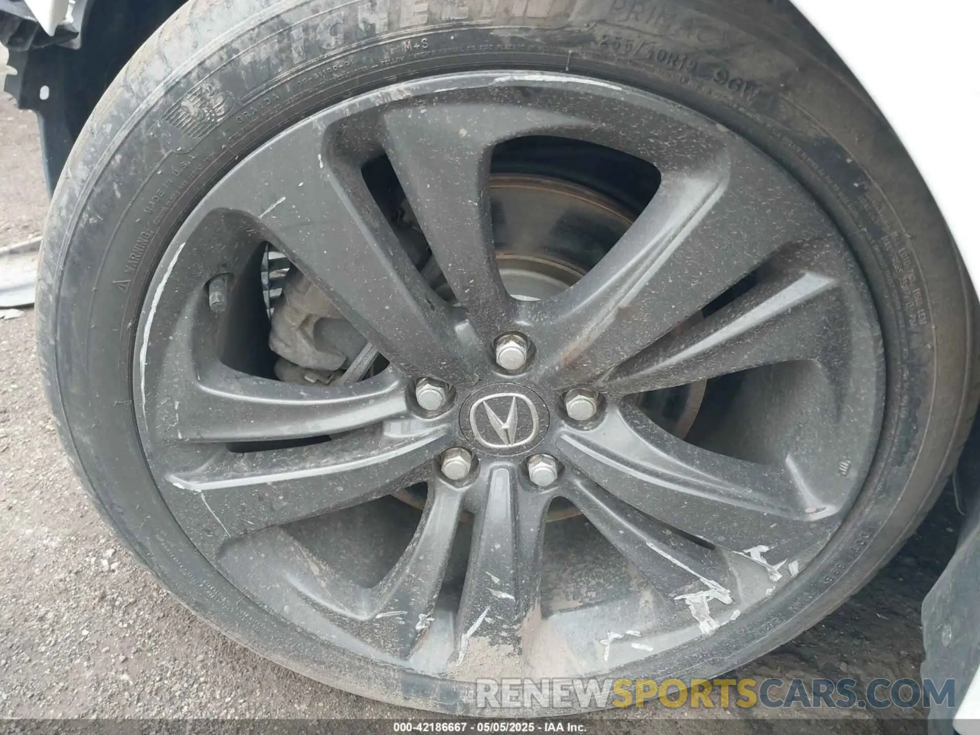 11 Фотография поврежденного автомобиля 19UUB6F5XMA002115 ACURA TLX 2021