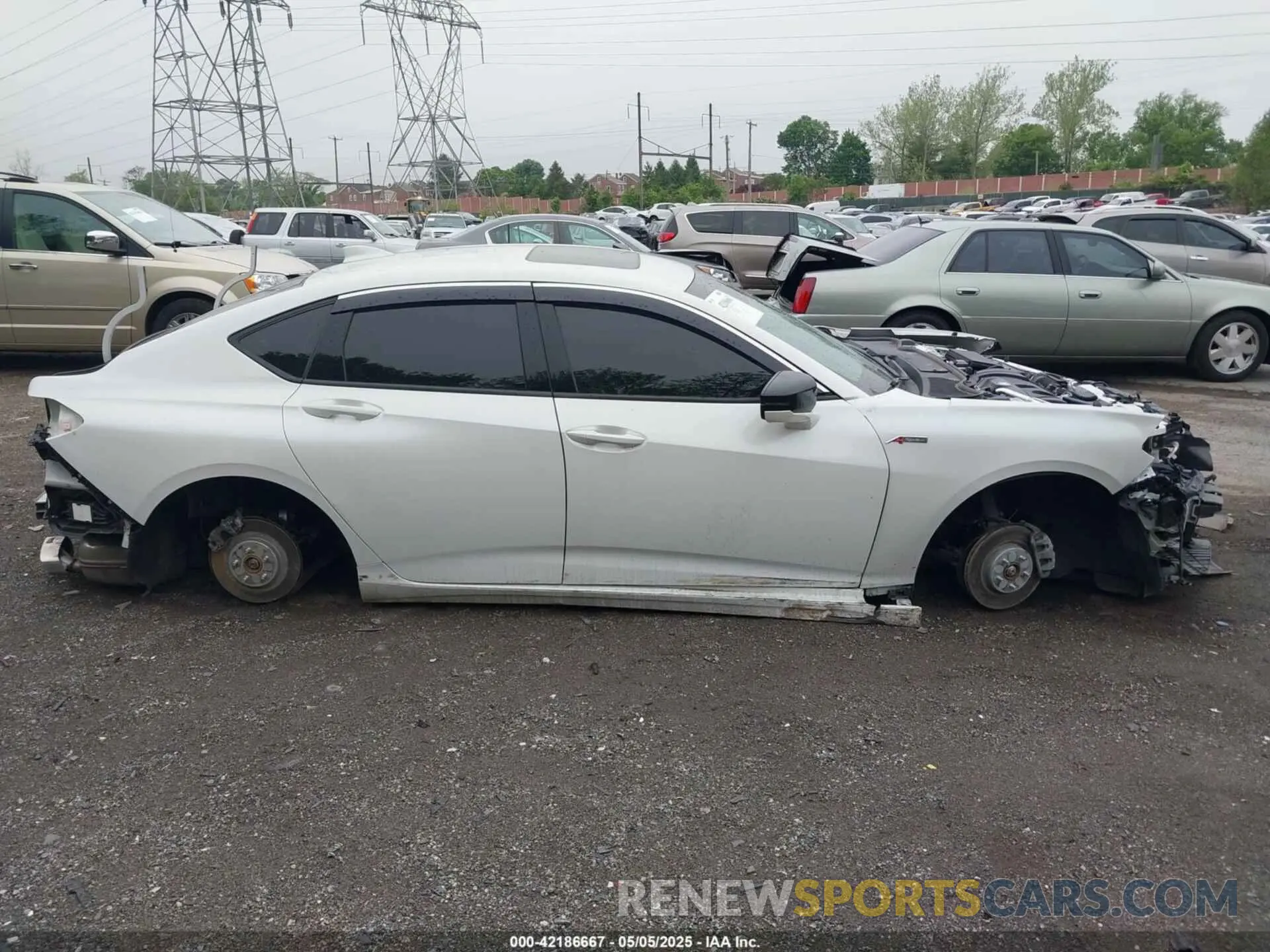 13 Фотография поврежденного автомобиля 19UUB6F5XMA002115 ACURA TLX 2021