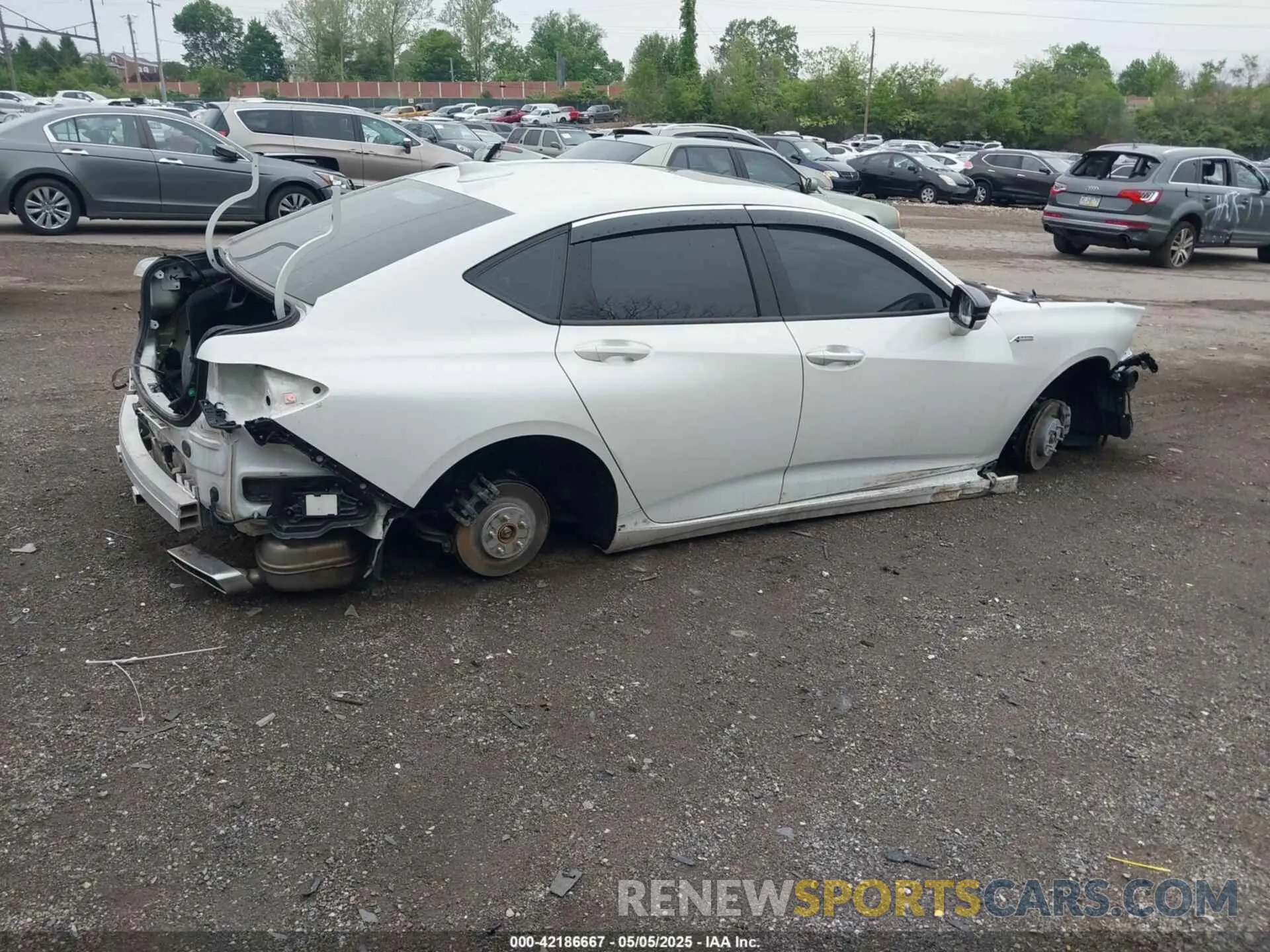 4 Фотография поврежденного автомобиля 19UUB6F5XMA002115 ACURA TLX 2021