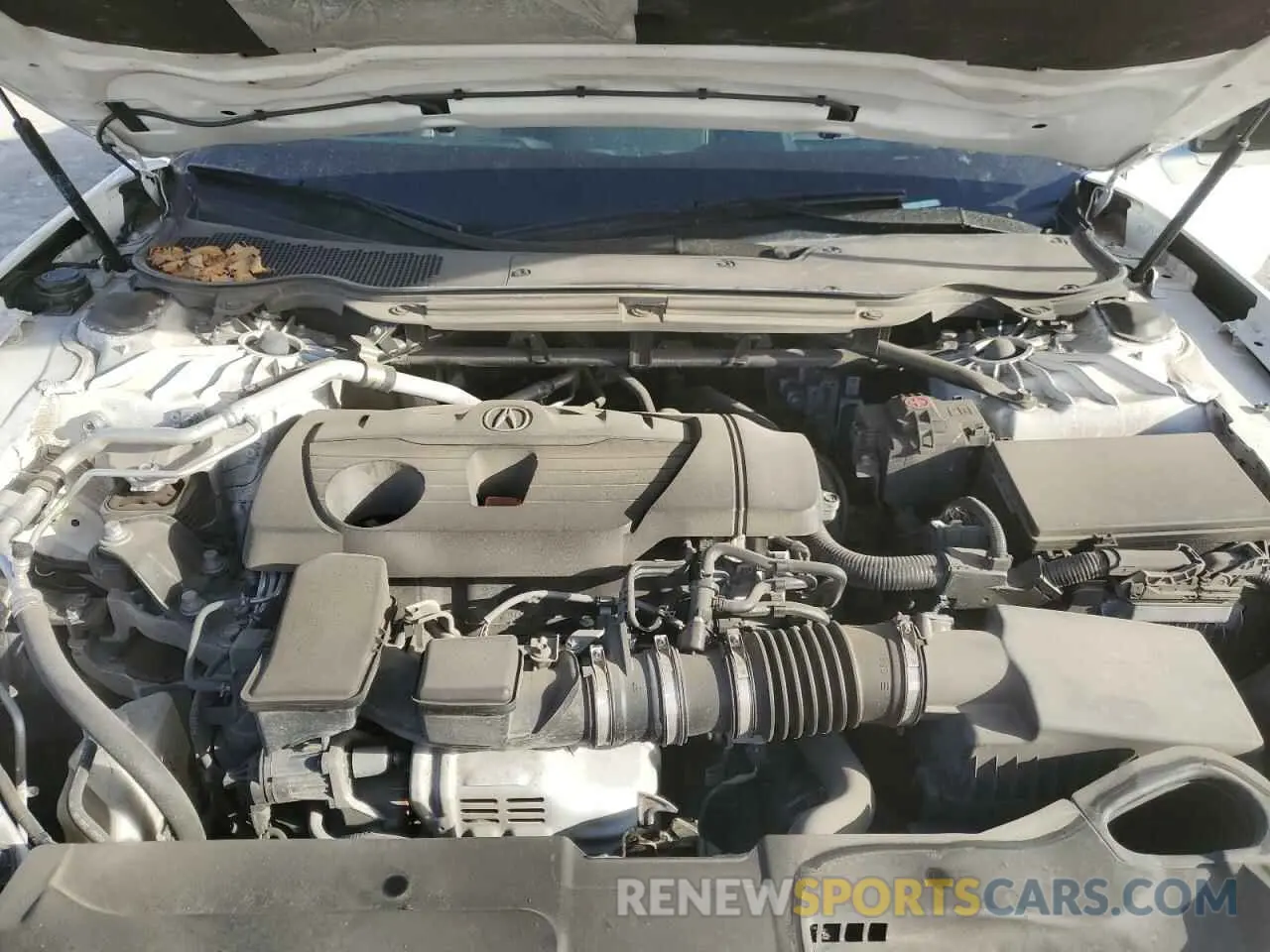 13 Photograph of a damaged car 19UUB6F66MA003108 ACURA TLX 2021