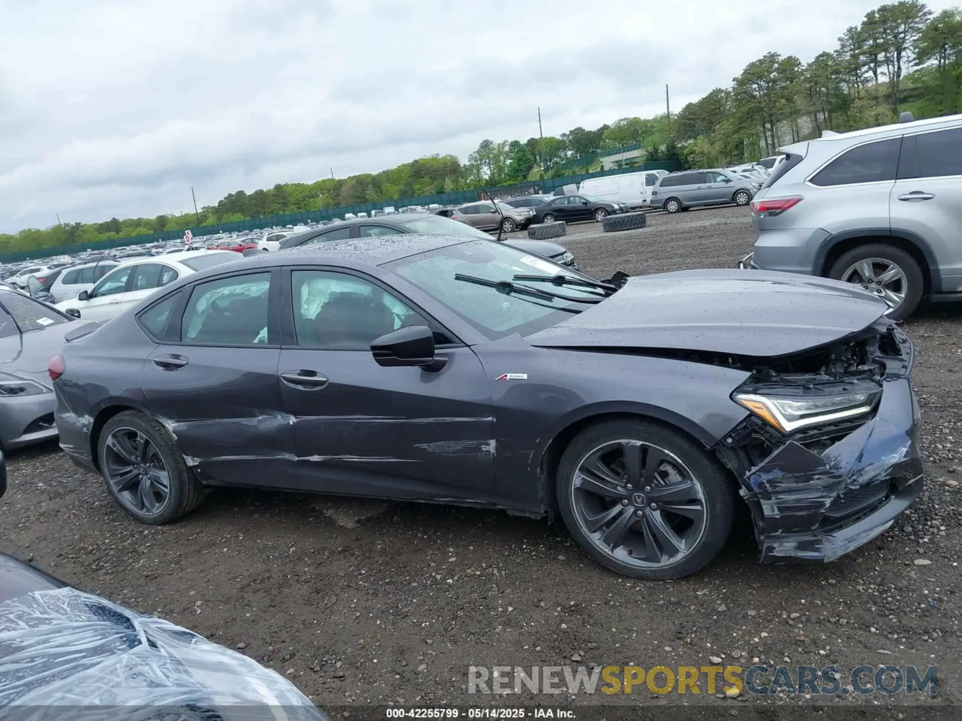 13 Photograph of a damaged car 19UUB5F55NA002986 ACURA TLX 2022