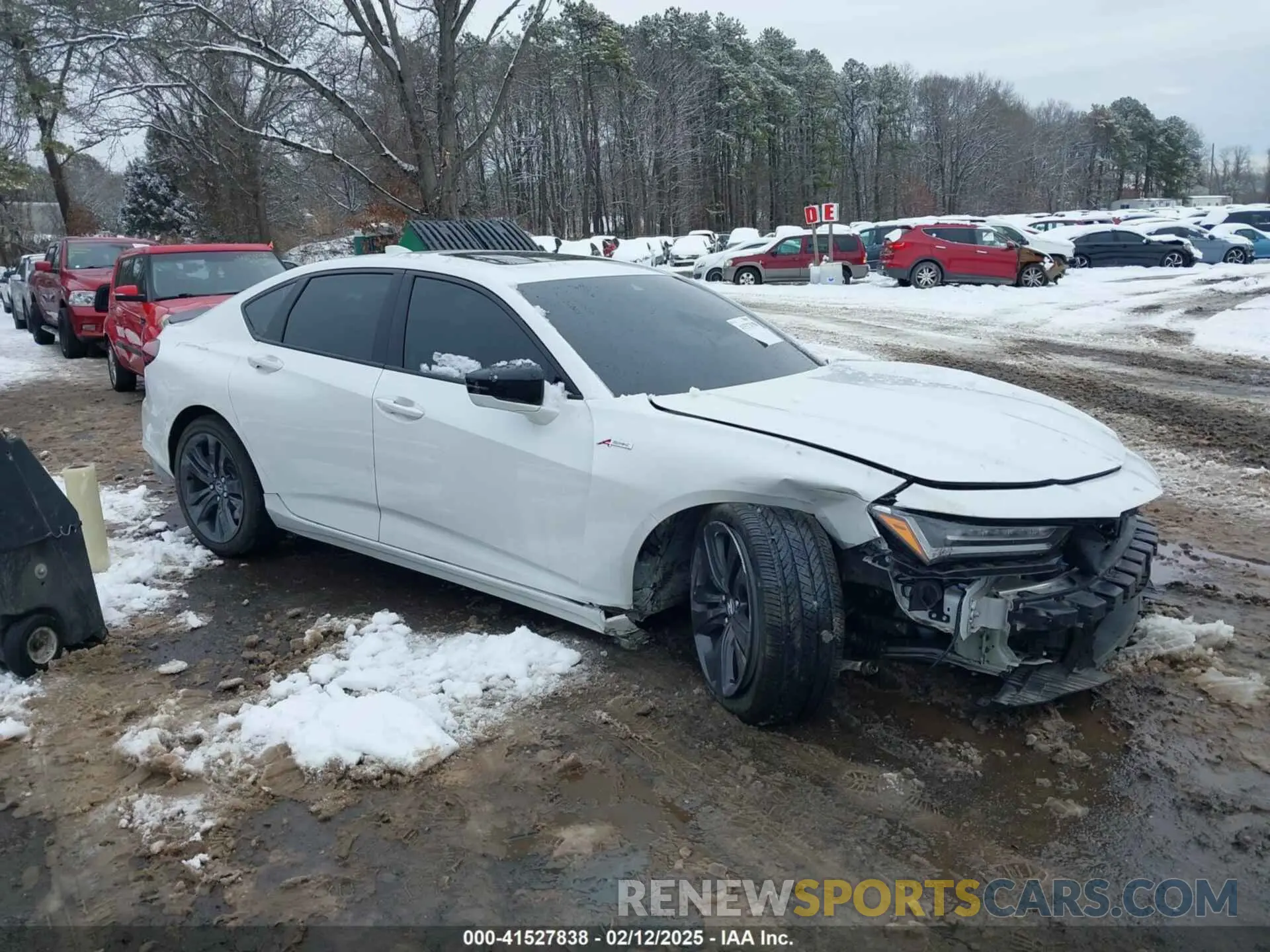13 Photograph of a damaged car 19UUB5F55NA003443 ACURA TLX 2022