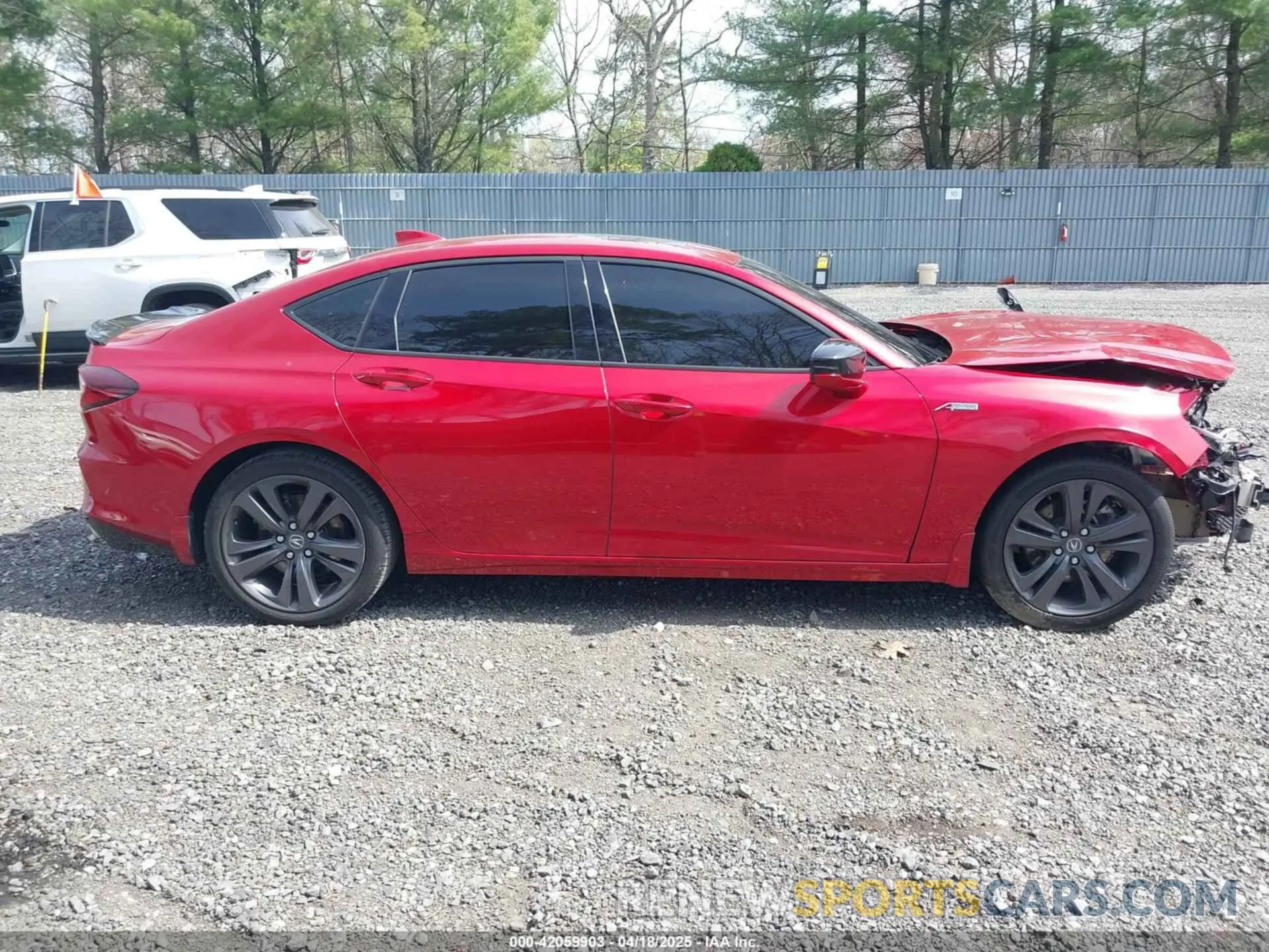 13 Photograph of a damaged car 19UUB6F50NA003002 ACURA TLX 2022