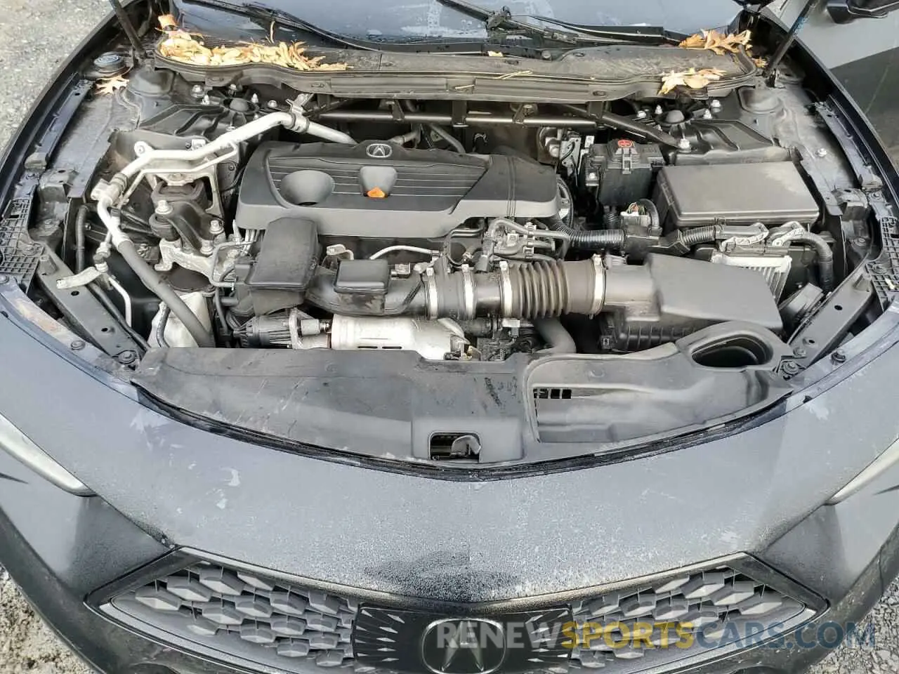 12 Photograph of a damaged car 19UUB6F57NA002834 ACURA TLX 2022