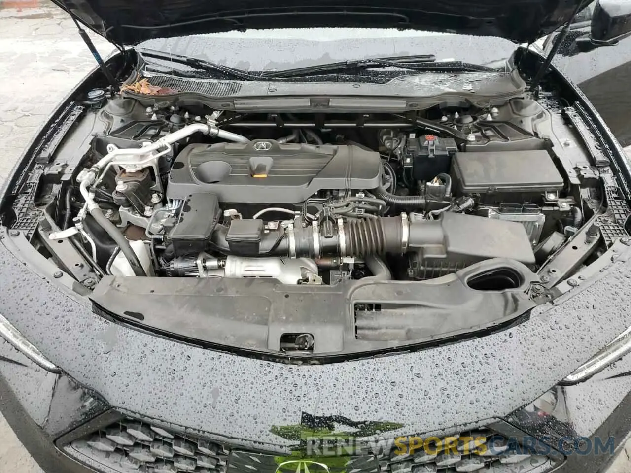 12 Фотография поврежденного автомобиля 19UUB5F55PA003901 ACURA TLX 2023