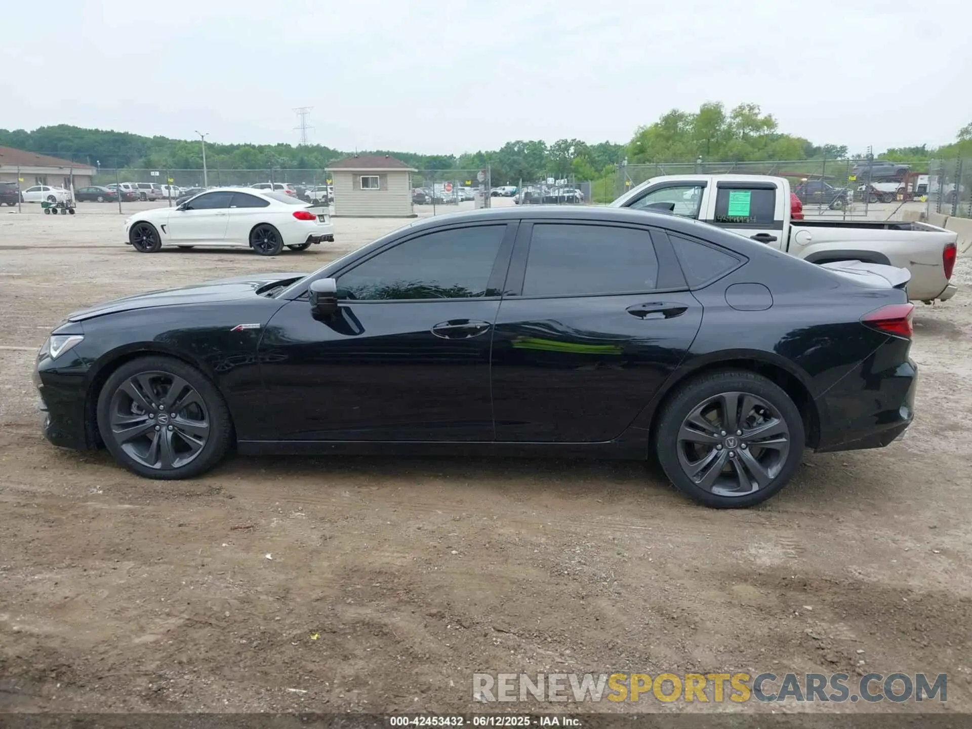 14 Photograph of a damaged car 19UUB6F54PA004608 ACURA TLX 2023