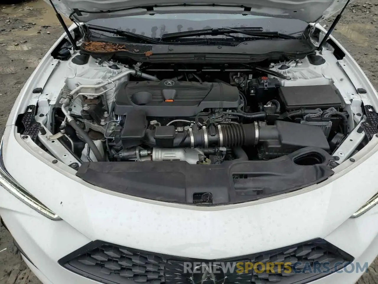 12 Photograph of a damaged car 19UUB6F59PA005589 ACURA TLX 2023