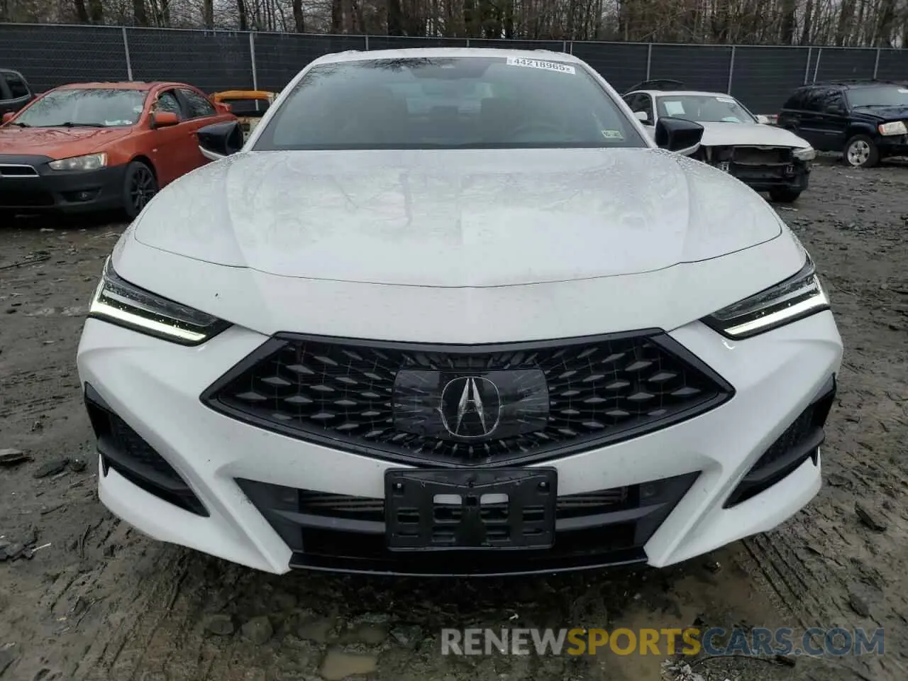 5 Photograph of a damaged car 19UUB6F59PA005589 ACURA TLX 2023