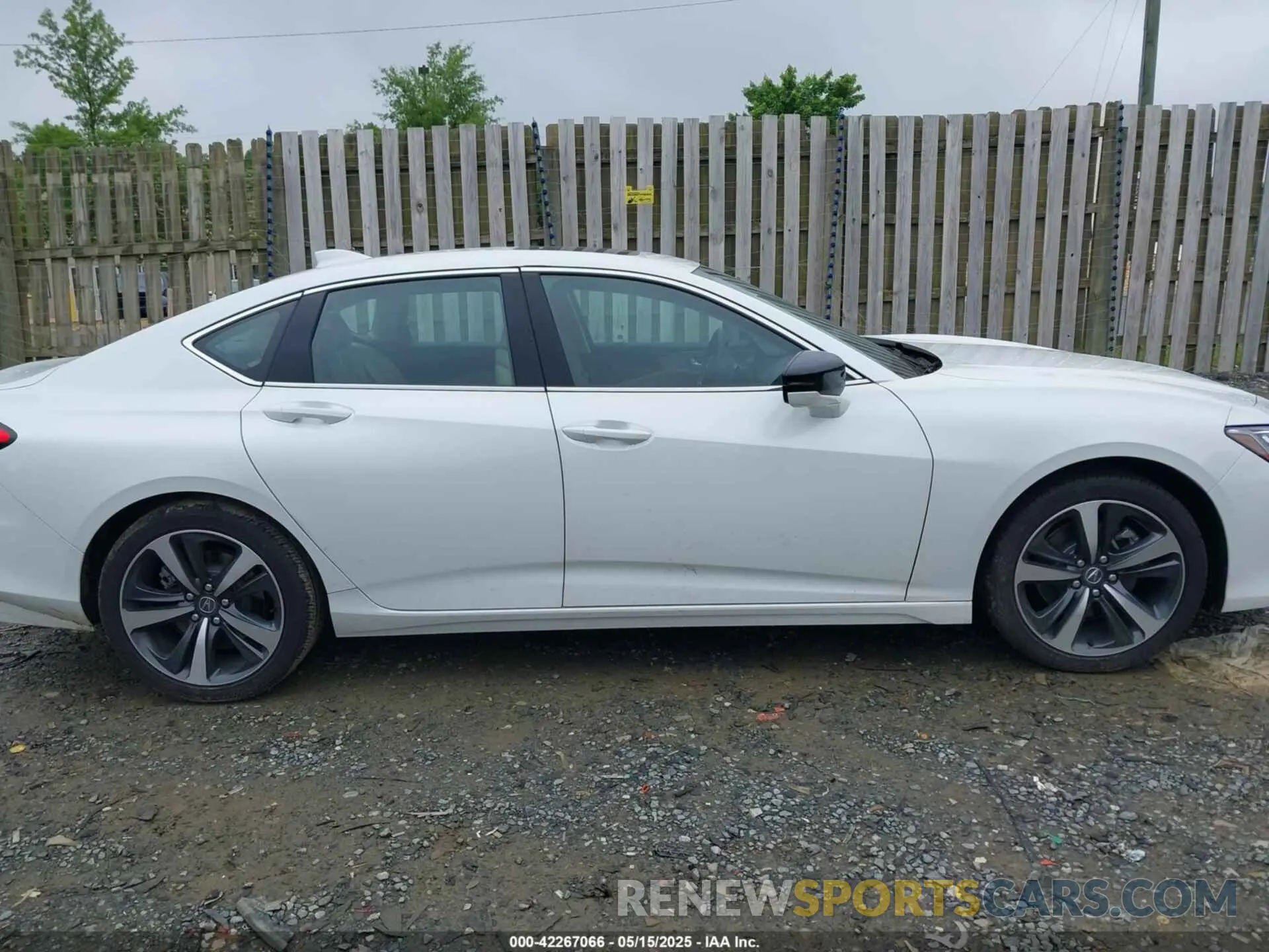 12 Photograph of a damaged car 19UUB5F44SA000200 ACURA TLX 2025