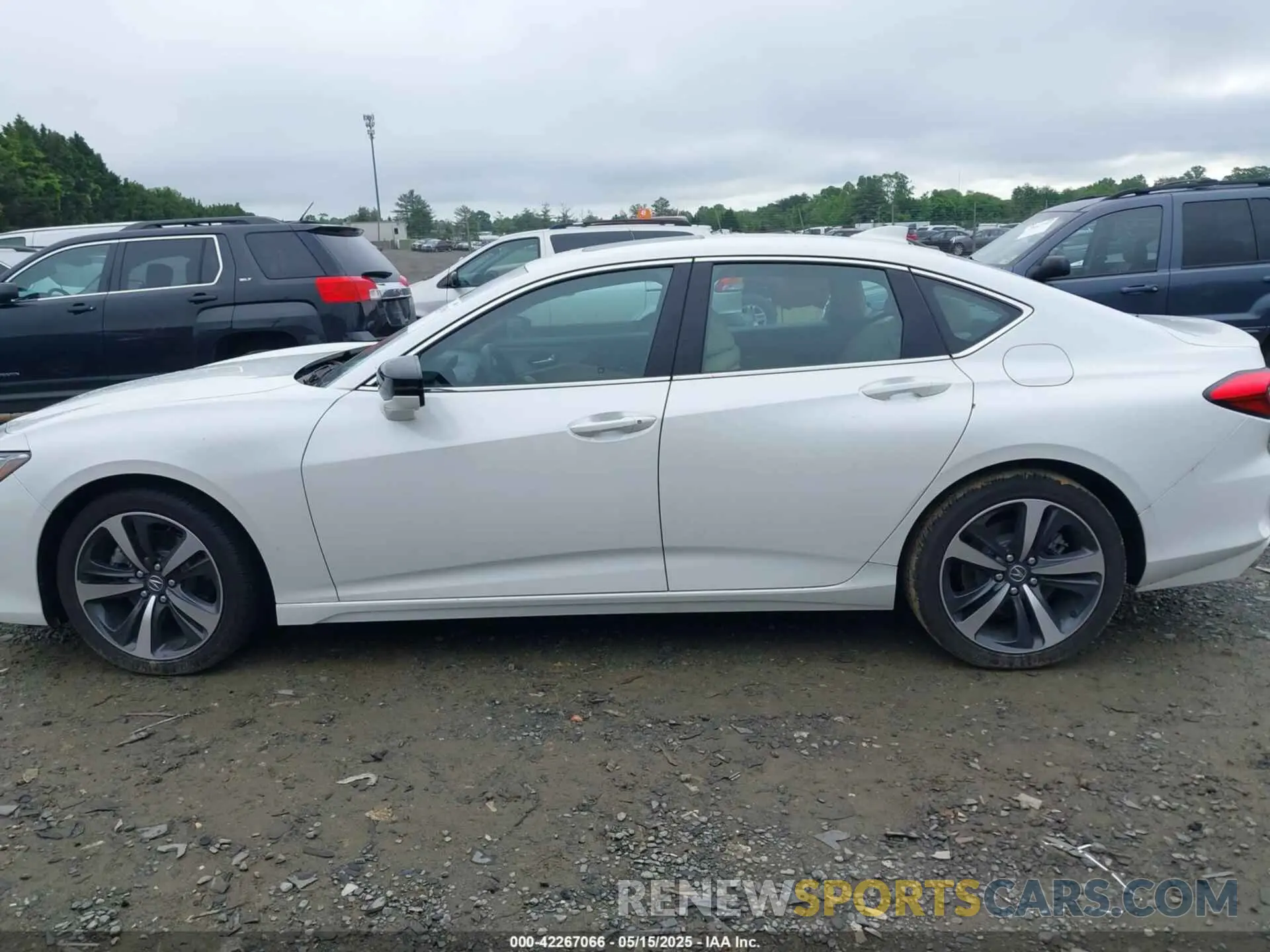 13 Photograph of a damaged car 19UUB5F44SA000200 ACURA TLX 2025