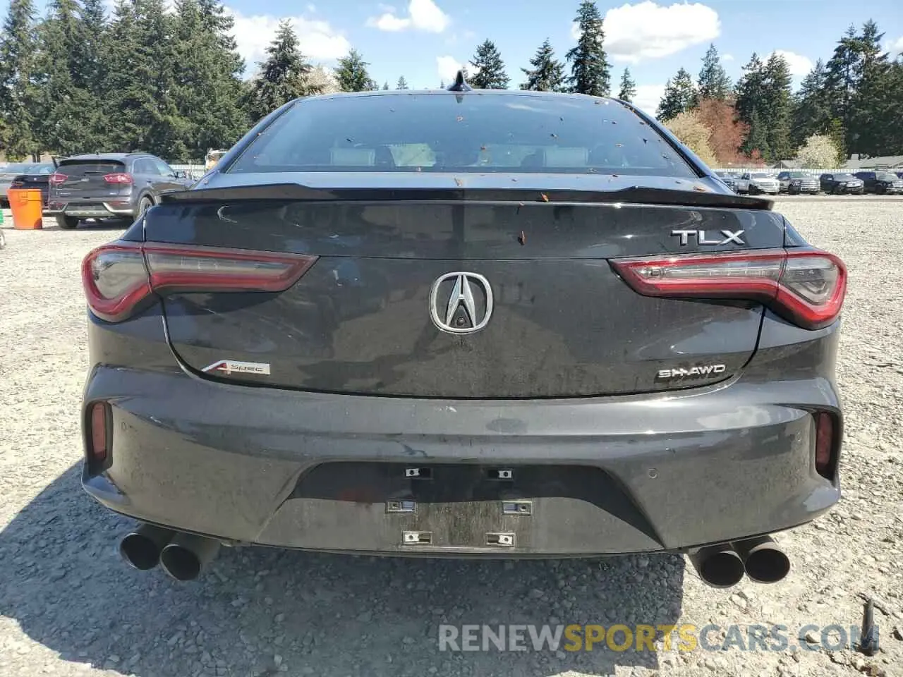6 Photograph of a damaged car 19UUB6F55SA000785 ACURA TLX 2025