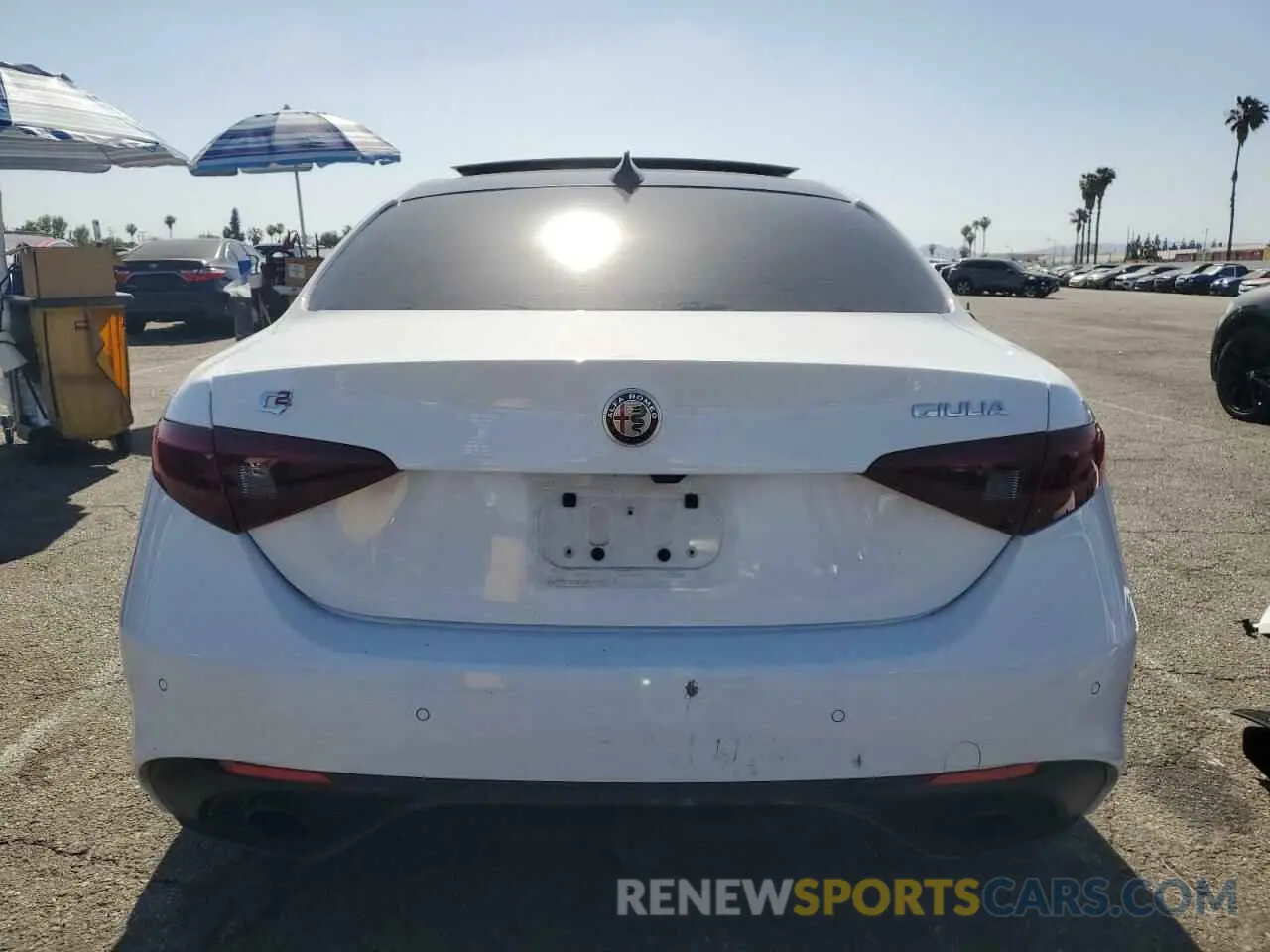 6 Photograph of a damaged car ZARFAMBN4P7669466 ALFA ROMEO GIULIA 2023