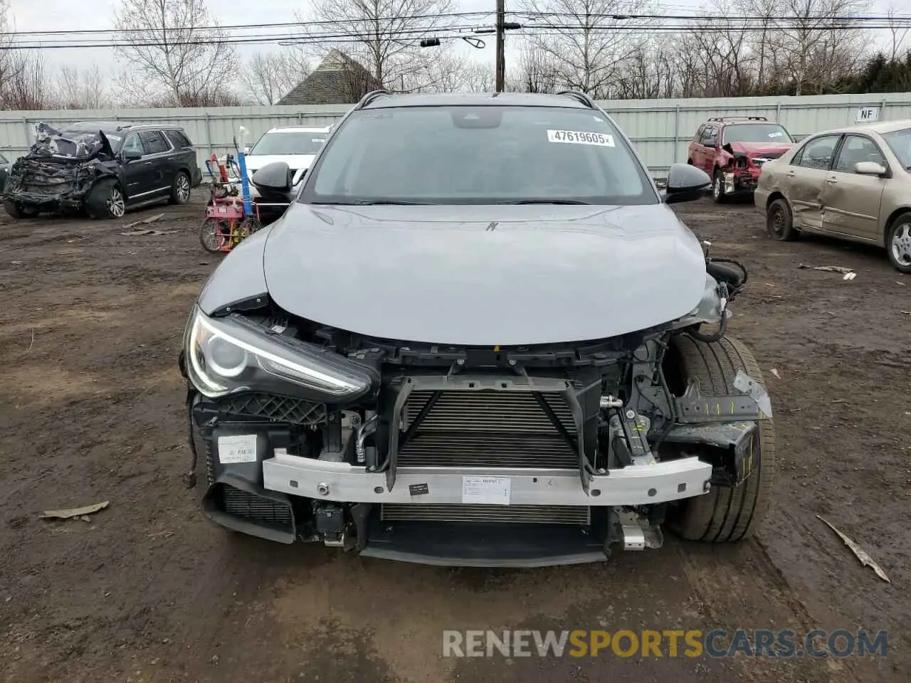5 Photograph of a damaged car ZASPAKAN6L7C95545 ALFA ROMEO STELVIO 2020