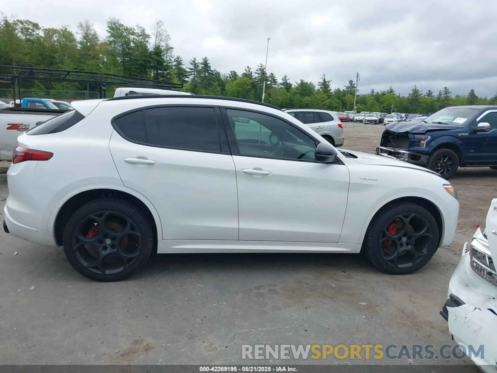 13 Photograph of a damaged car ZASPAKBN0N7D25379 ALFA ROMEO STELVIO 2022