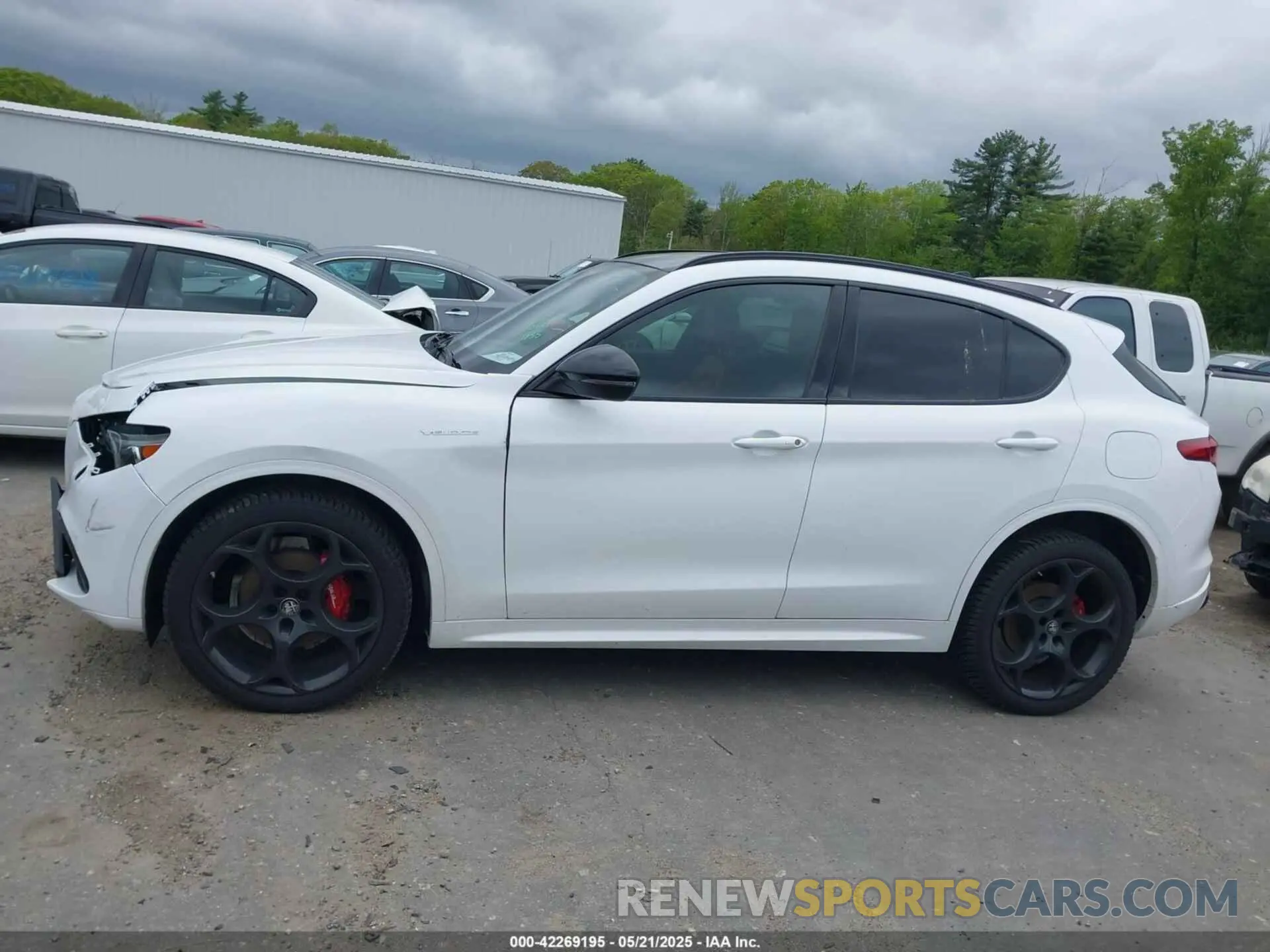 14 Photograph of a damaged car ZASPAKBN0N7D25379 ALFA ROMEO STELVIO 2022