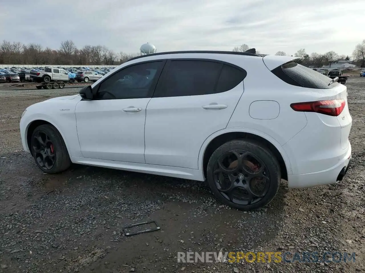 2 Photograph of a damaged car ZASPAKBN1N7D42188 ALFA ROMEO STELVIO 2022