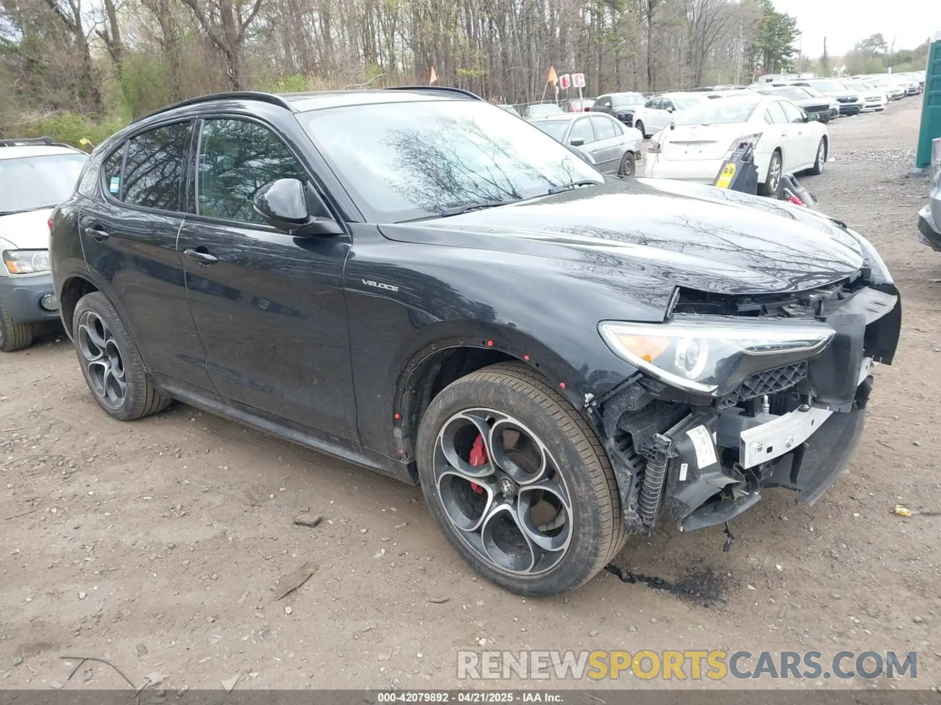1 Photograph of a damaged car ZASPAKBN6P7D49639 ALFA ROMEO STELVIO 2023