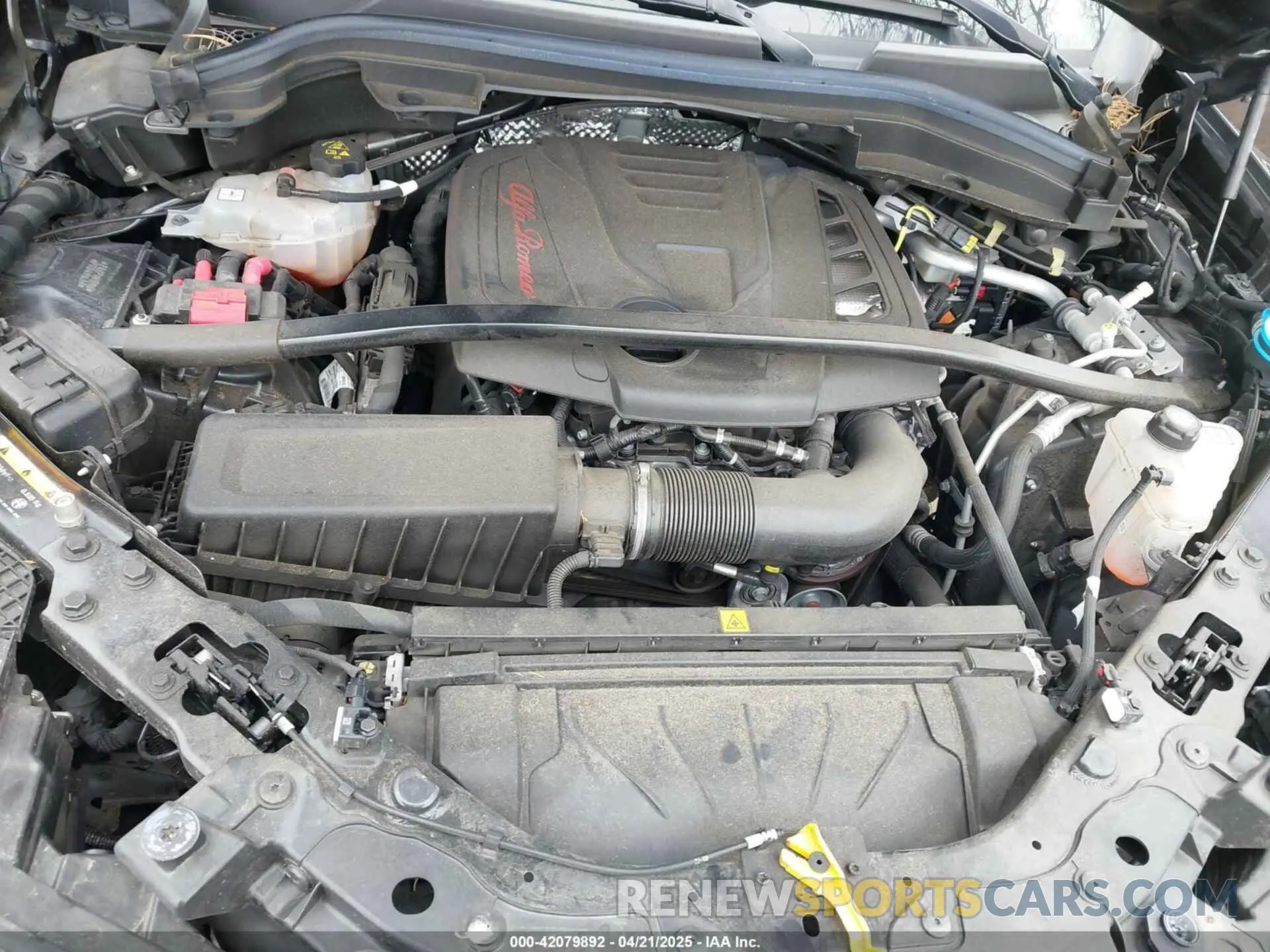 10 Photograph of a damaged car ZASPAKBN6P7D49639 ALFA ROMEO STELVIO 2023