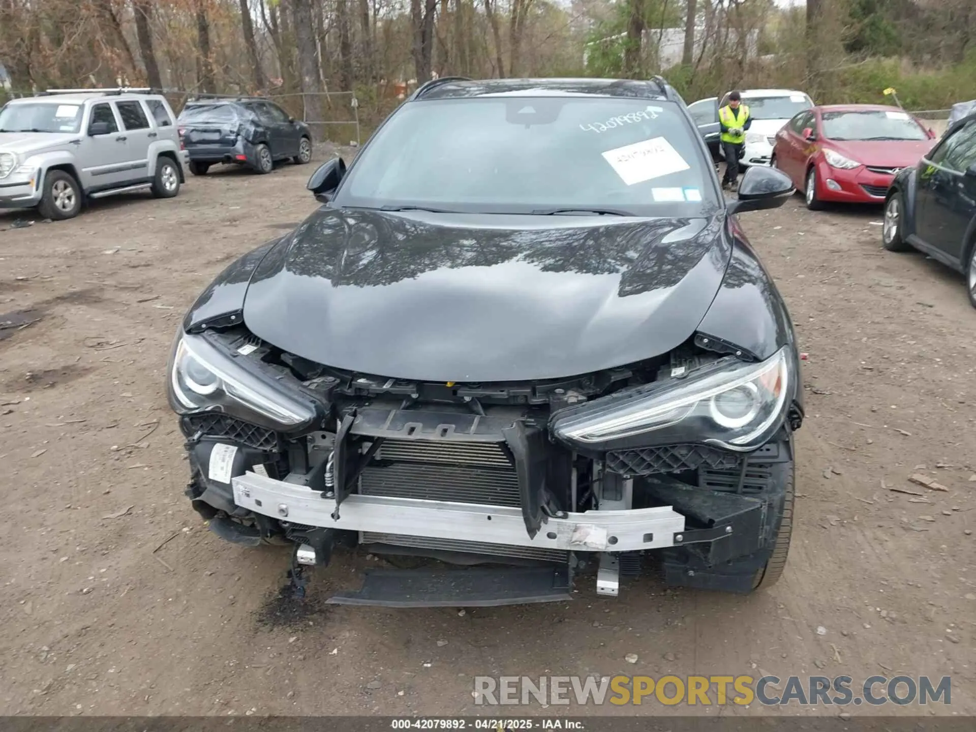 12 Photograph of a damaged car ZASPAKBN6P7D49639 ALFA ROMEO STELVIO 2023