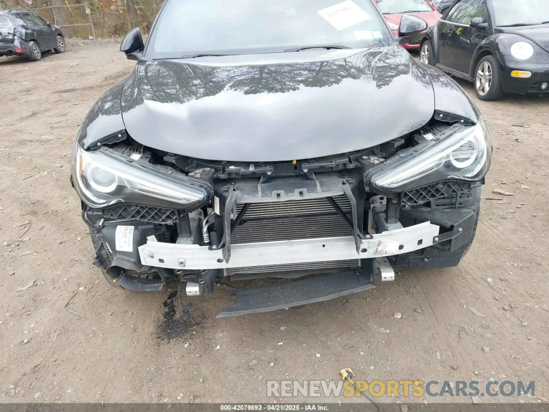 6 Photograph of a damaged car ZASPAKBN6P7D49639 ALFA ROMEO STELVIO 2023