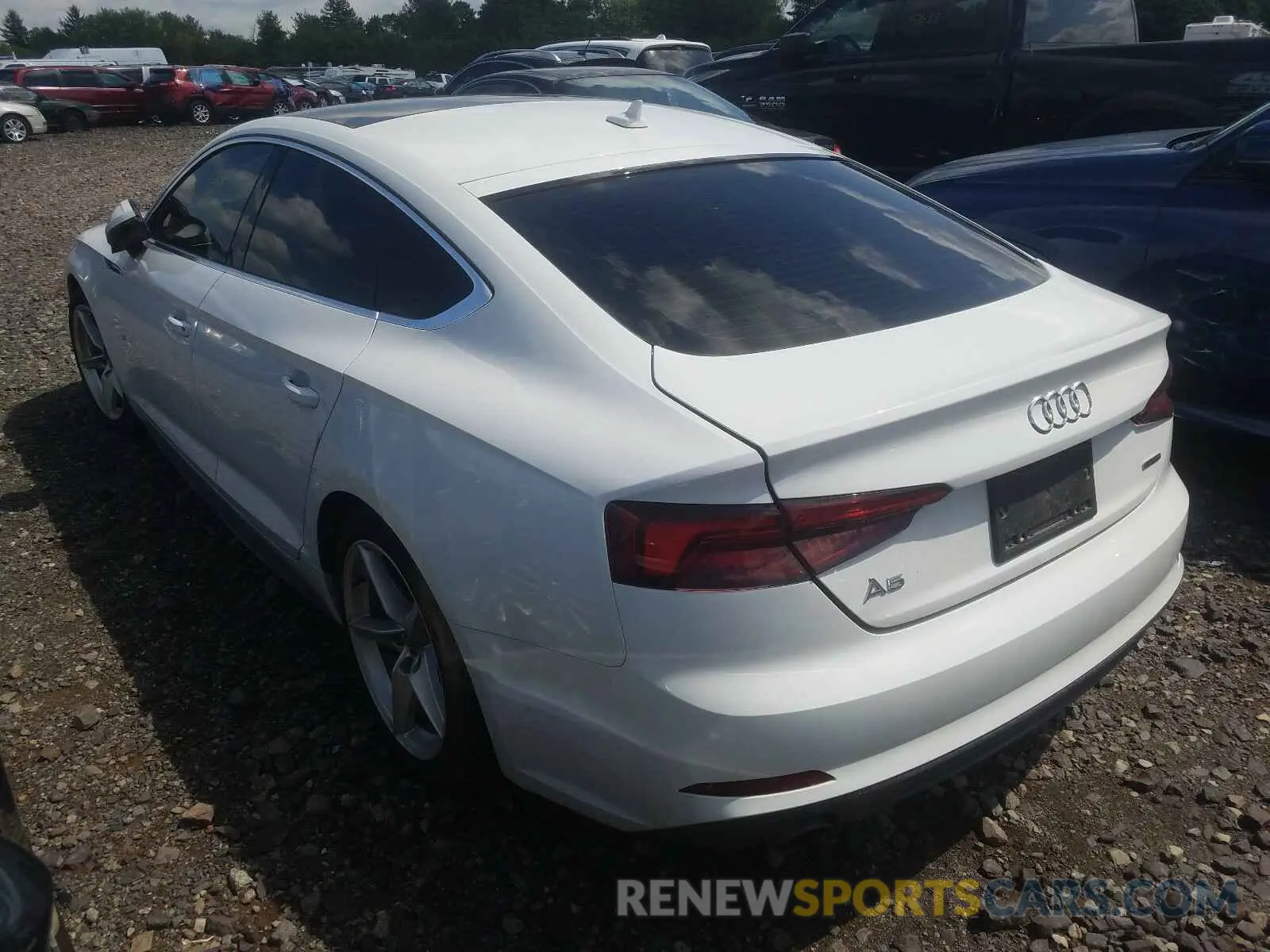 3 Photograph of a damaged car WAUDNCF53KA026187 AUDI A5 2019