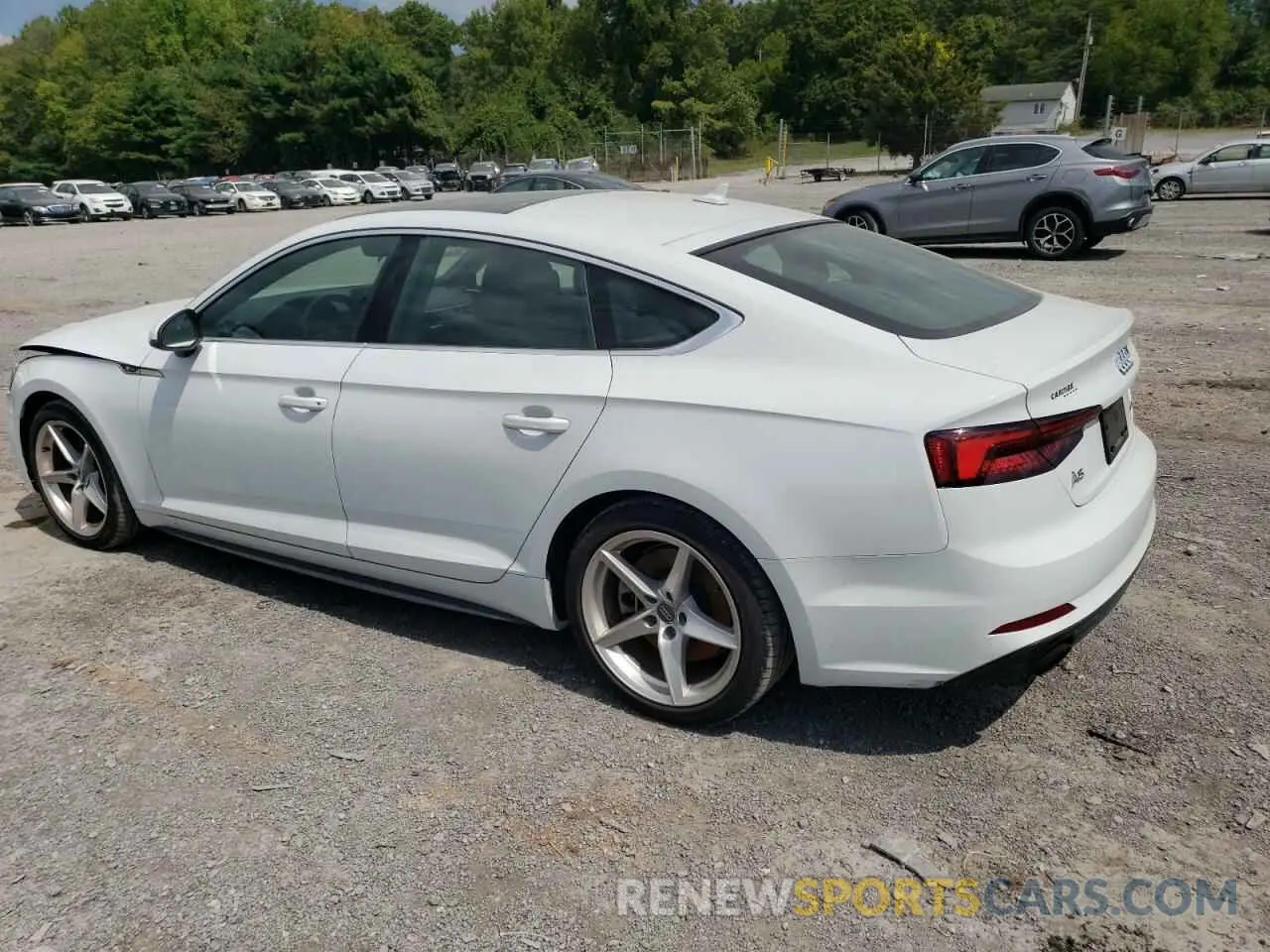 2 Photograph of a damaged car WAUDNCF58KA095943 AUDI A5 2019