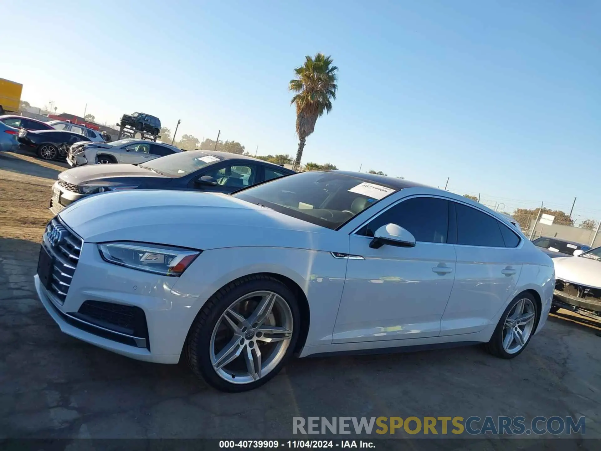 14 Photograph of a damaged car WAUENCF55KA091952 AUDI A5 2019