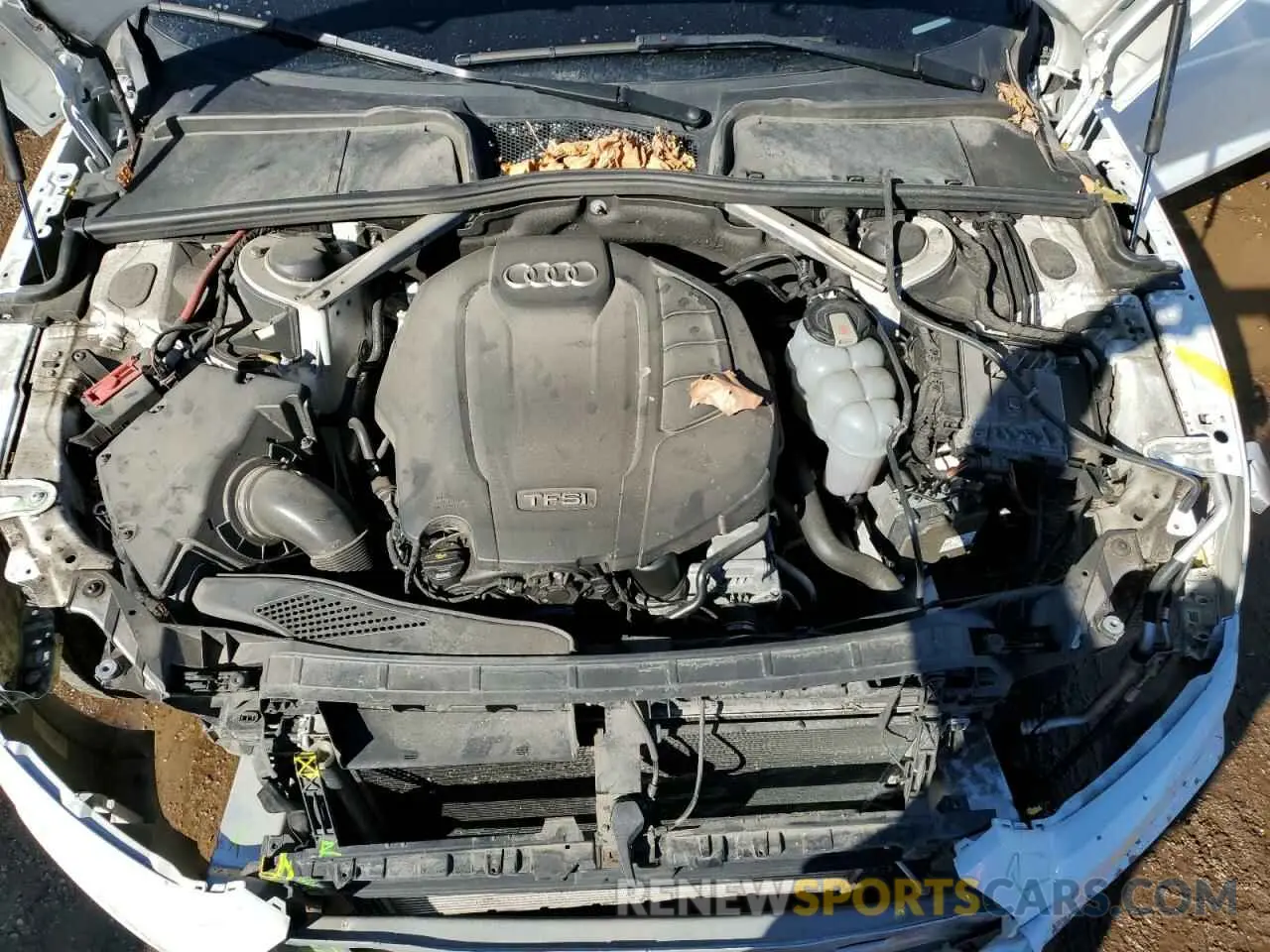 11 Photograph of a damaged car WAUENCF56KA077381 AUDI A5 2019
