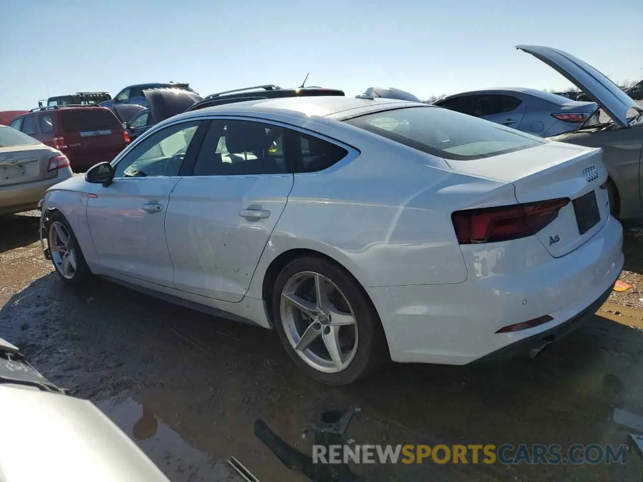 2 Photograph of a damaged car WAUENCF56KA077381 AUDI A5 2019