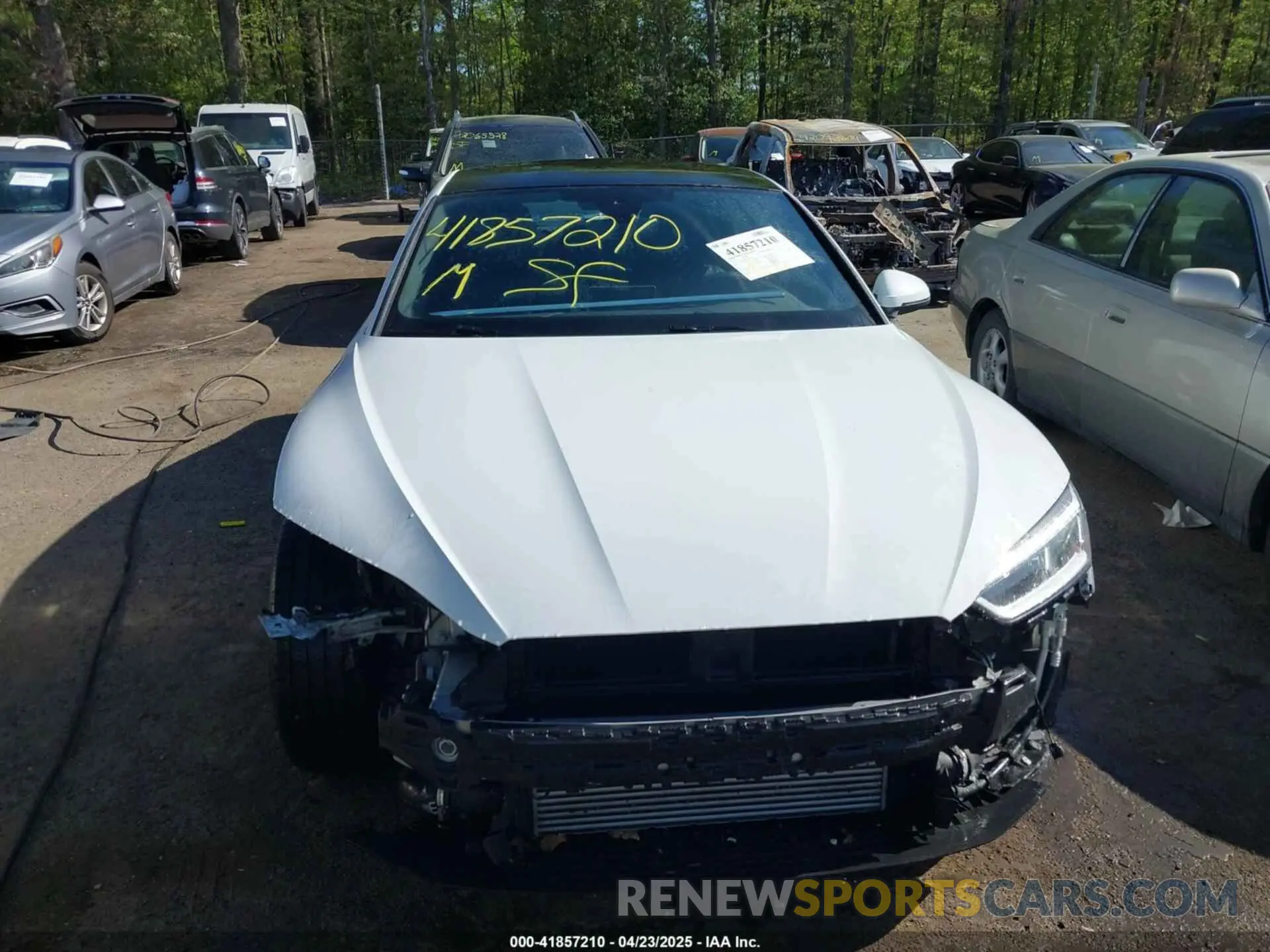 13 Photograph of a damaged car WAUENCF59KA097799 AUDI A5 2019