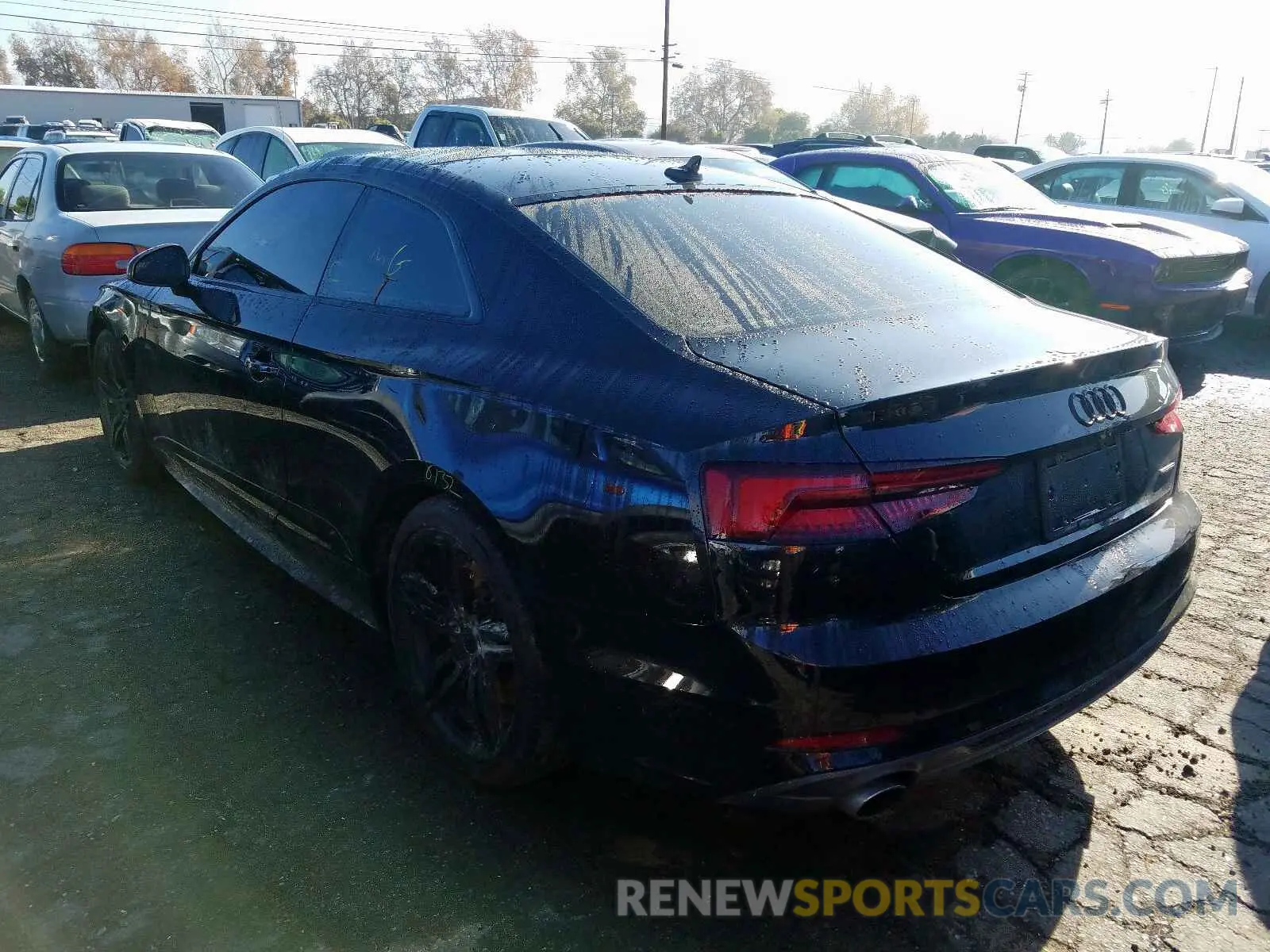 3 Photograph of a damaged car WAUSNAF5XKA015229 AUDI A5 2019