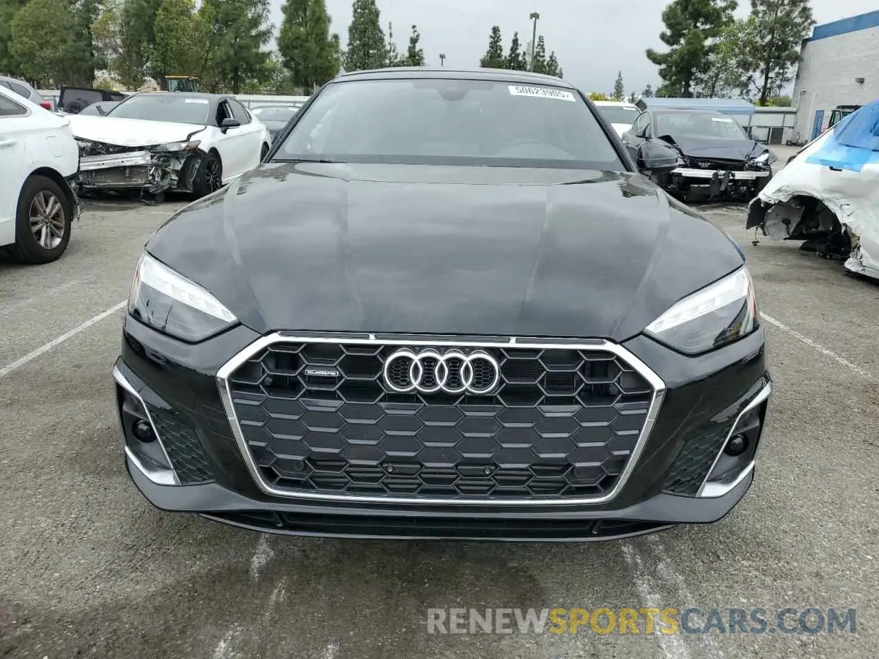 5 Photograph of a damaged car WAUDACF58RA109443 AUDI A5 2024