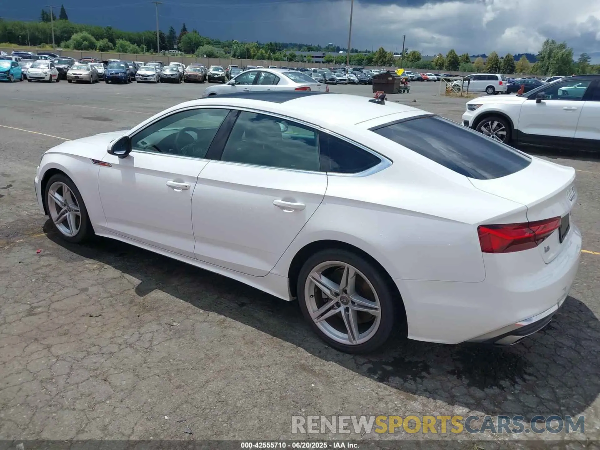 3 Photograph of a damaged car WAUDACF55MA020955 AUDI A5 SPORTBACK 2021