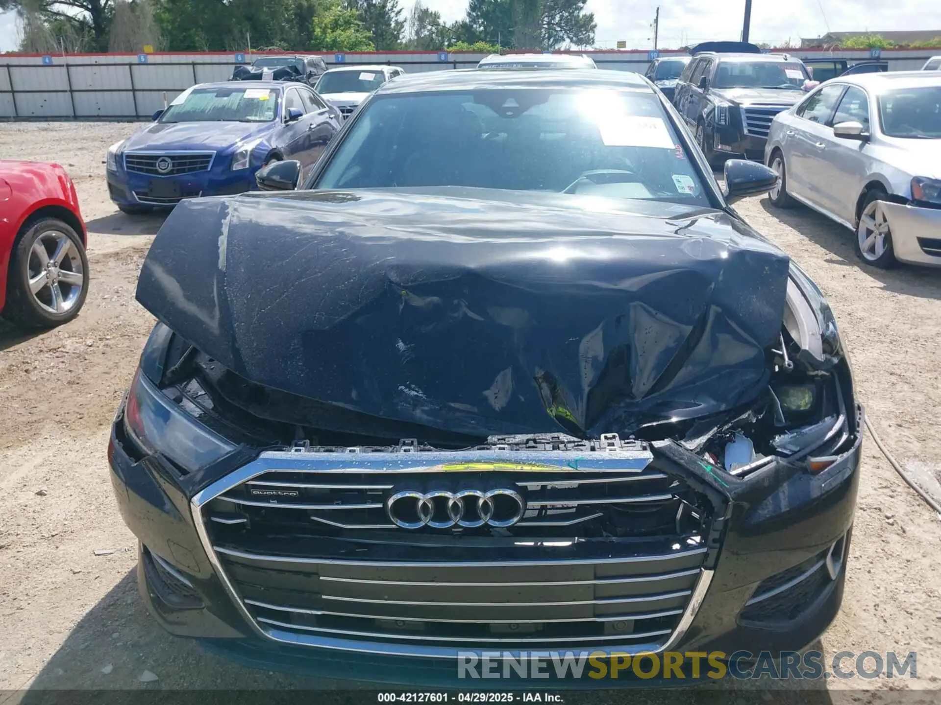 12 Photograph of a damaged car WAUD3BF2XPN048712 AUDI A6 2023