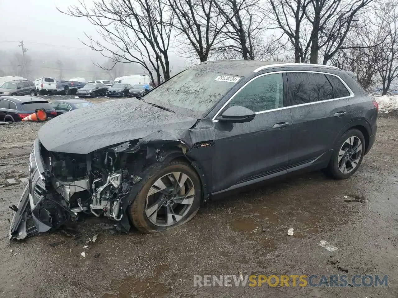 1 Фотография поврежденного автомобиля WA1VAAGE8MB004876 AUDI E-TRON 2021