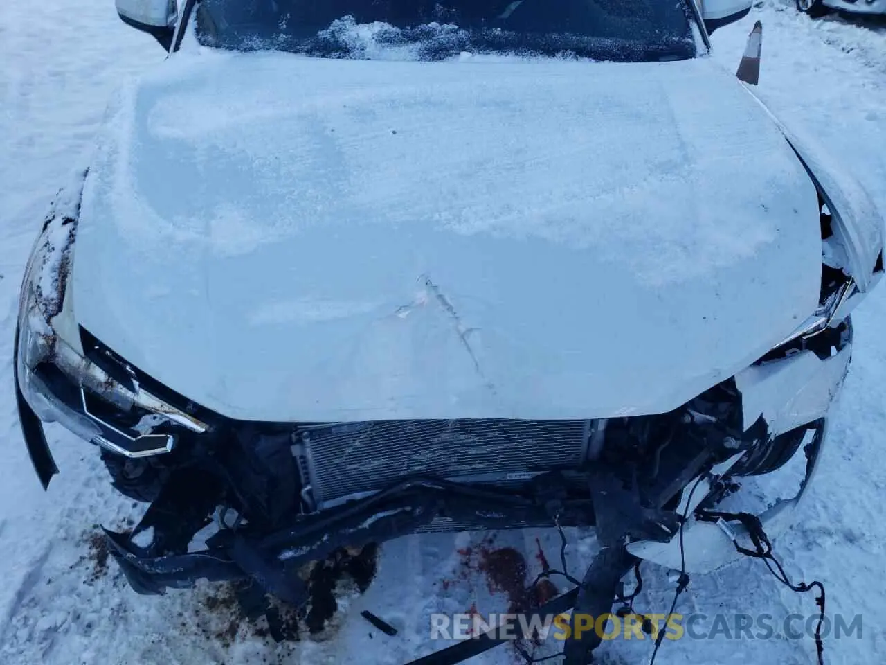 12 Фотография поврежденного автомобиля WA1EECF39P1032342 AUDI Q3 2023
