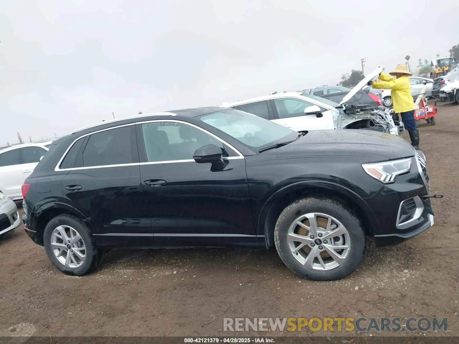 13 Photograph of a damaged car WA1AUCF32R1083539 AUDI Q3 2024