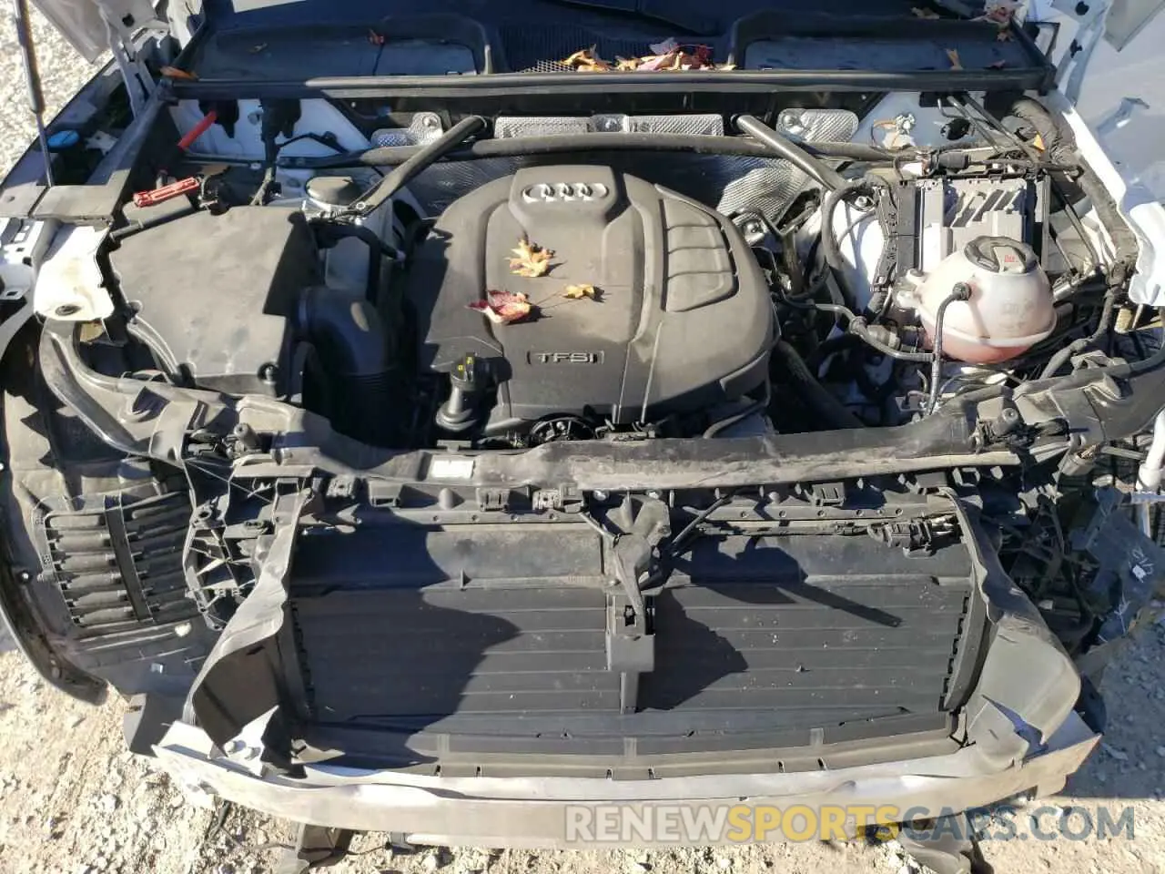 12 Photograph of a damaged car WA1ANAFY5K2136439 AUDI Q5 2019
