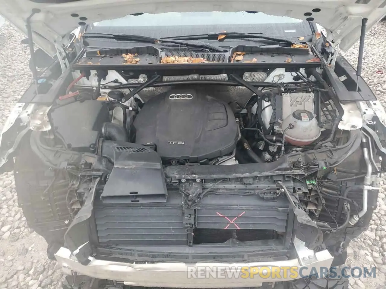 12 Фотография поврежденного автомобиля WA1BNAFY1K2044099 AUDI Q5 2019