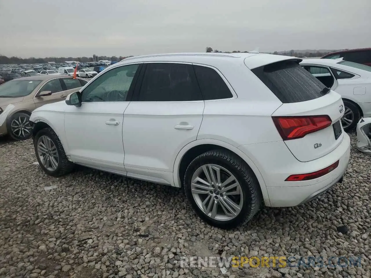 2 Фотография поврежденного автомобиля WA1BNAFY1K2044099 AUDI Q5 2019