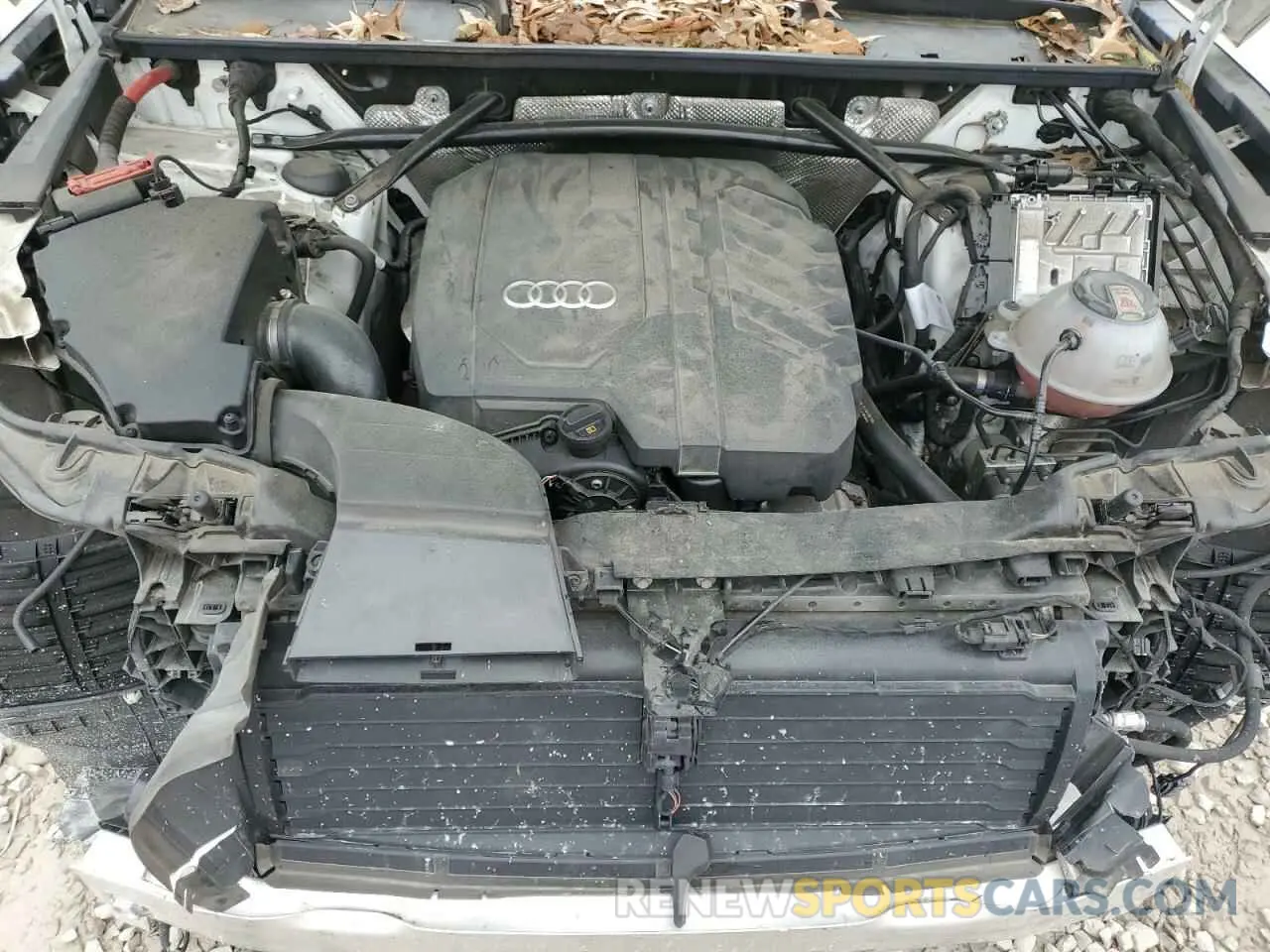 12 Фотография поврежденного автомобиля WA1AAAFY4M2003735 AUDI Q5 2021