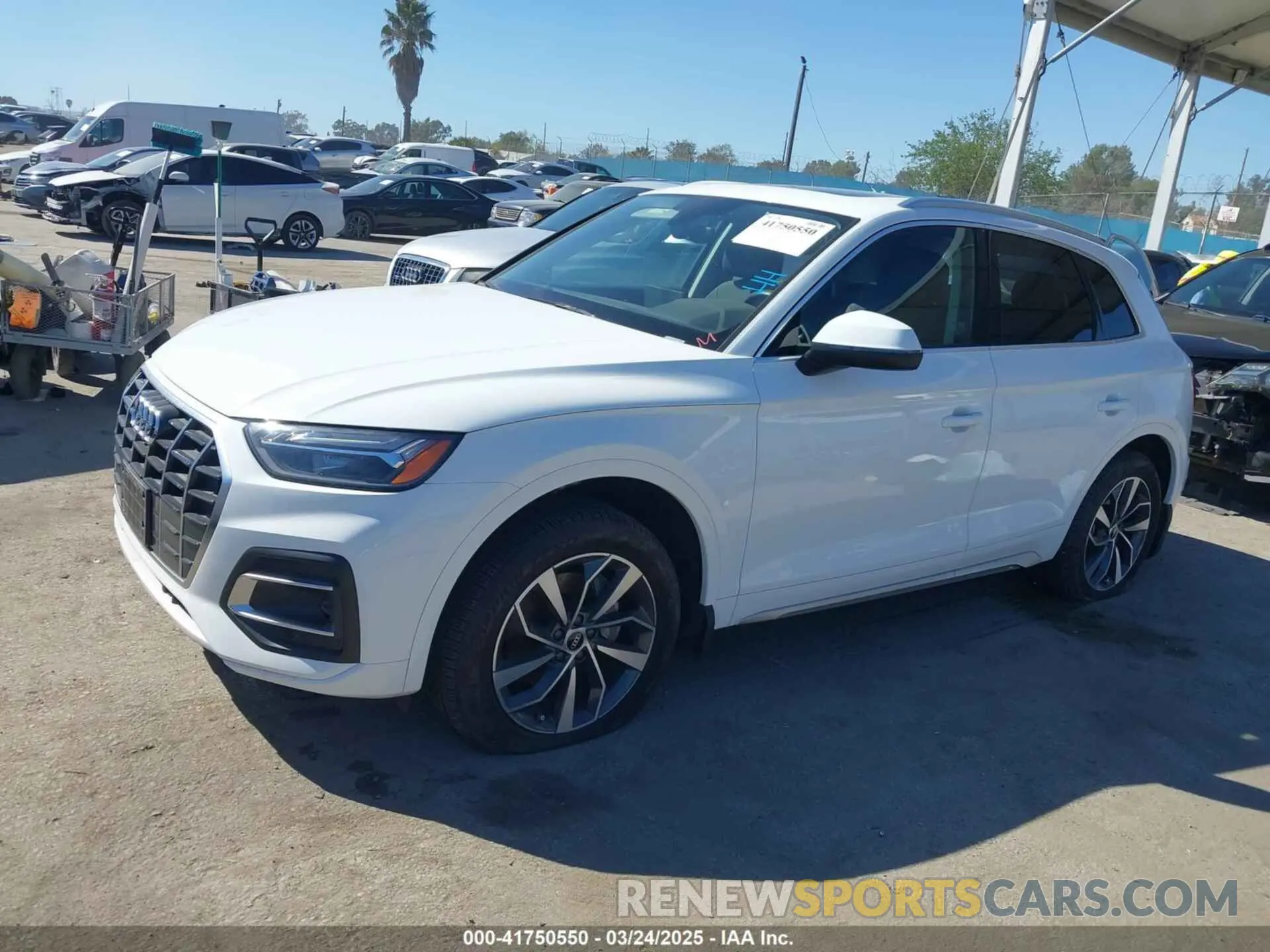 13 Photograph of a damaged car WA1AAAFY6M2045811 AUDI Q5 2021