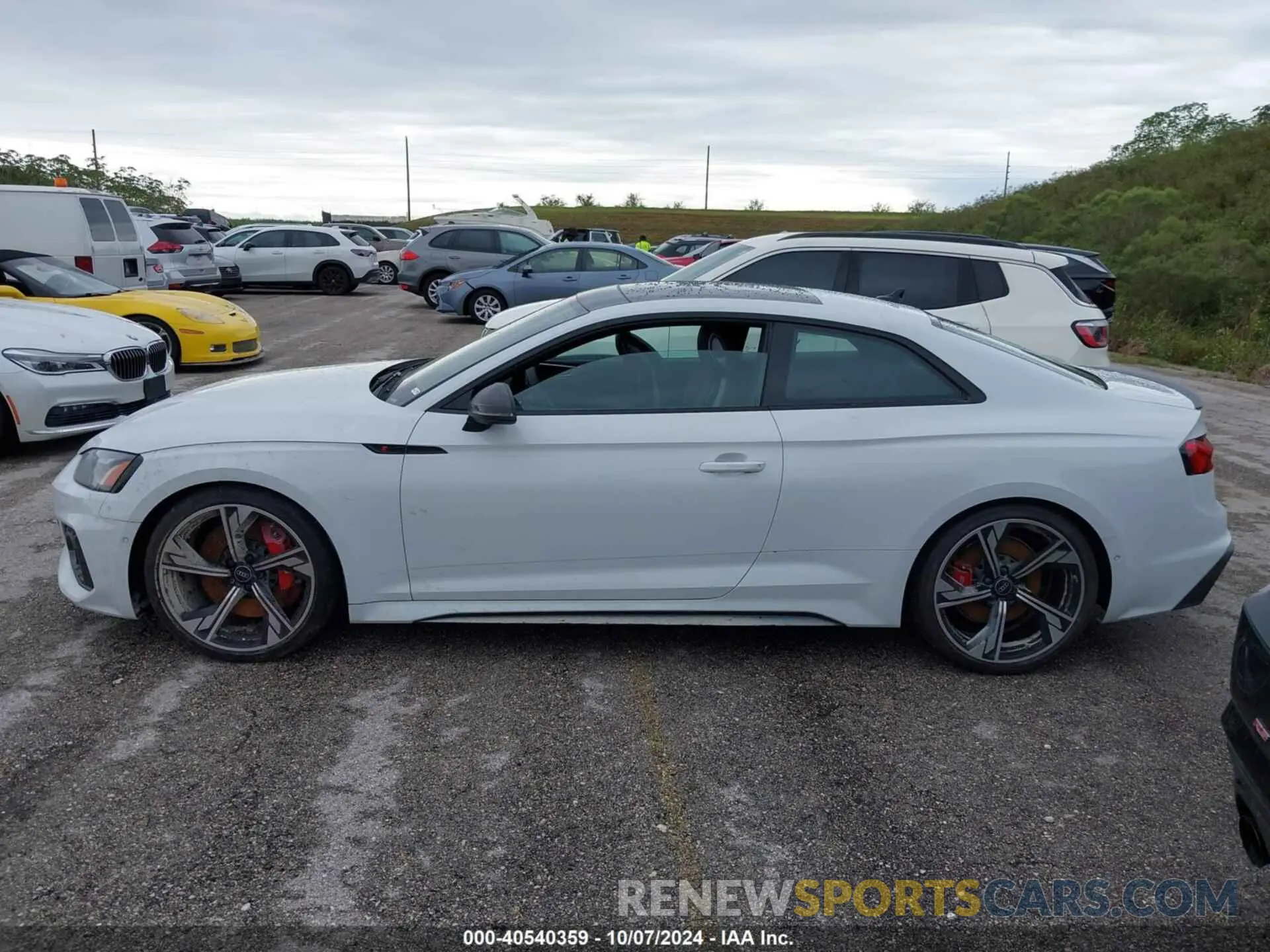 14 Фотография поврежденного автомобиля WUANWAF51PA904489 AUDI RS5 2023