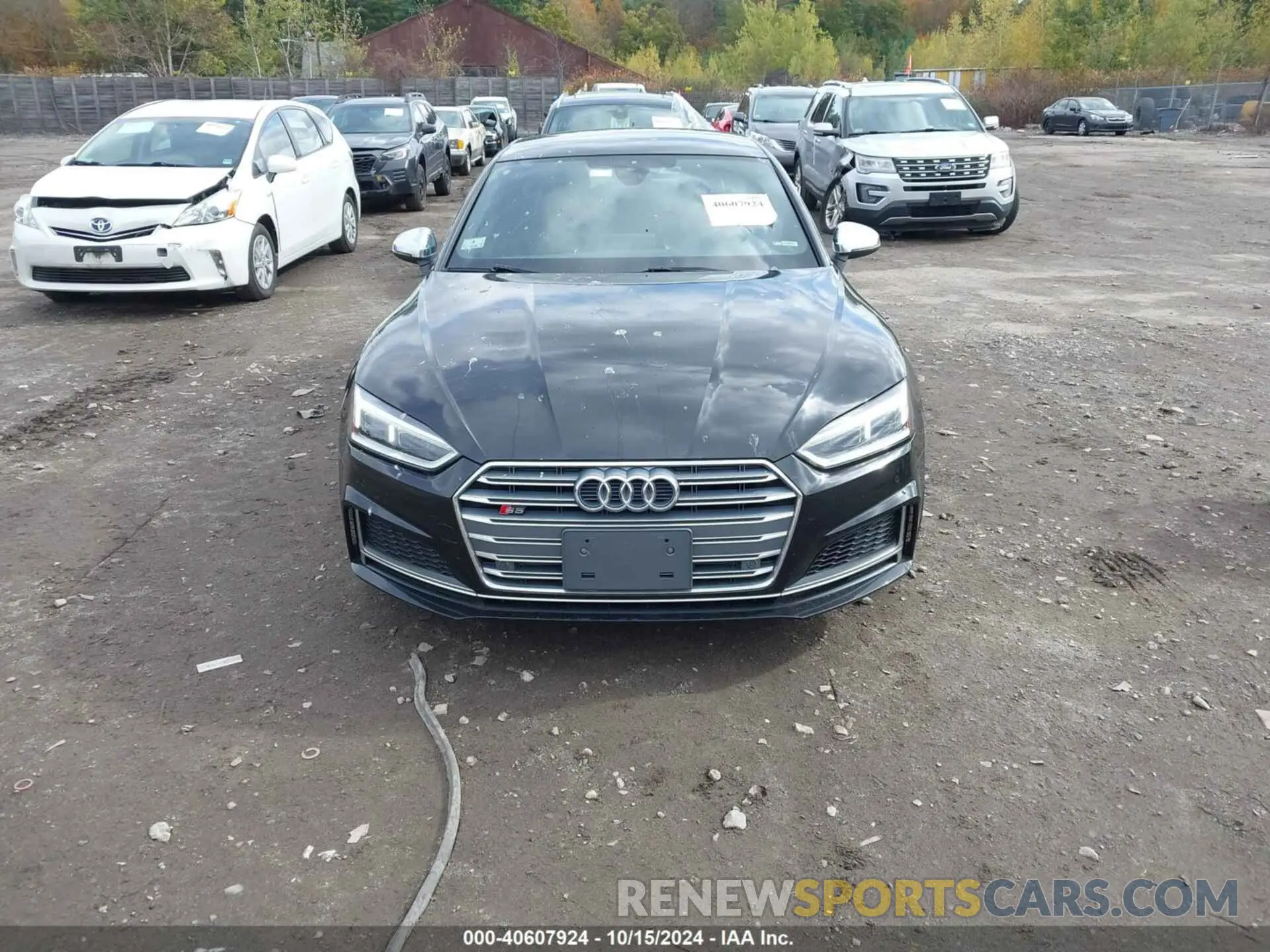 12 Photograph of a damaged car WAUB4CF54KA084562 AUDI S5 2019