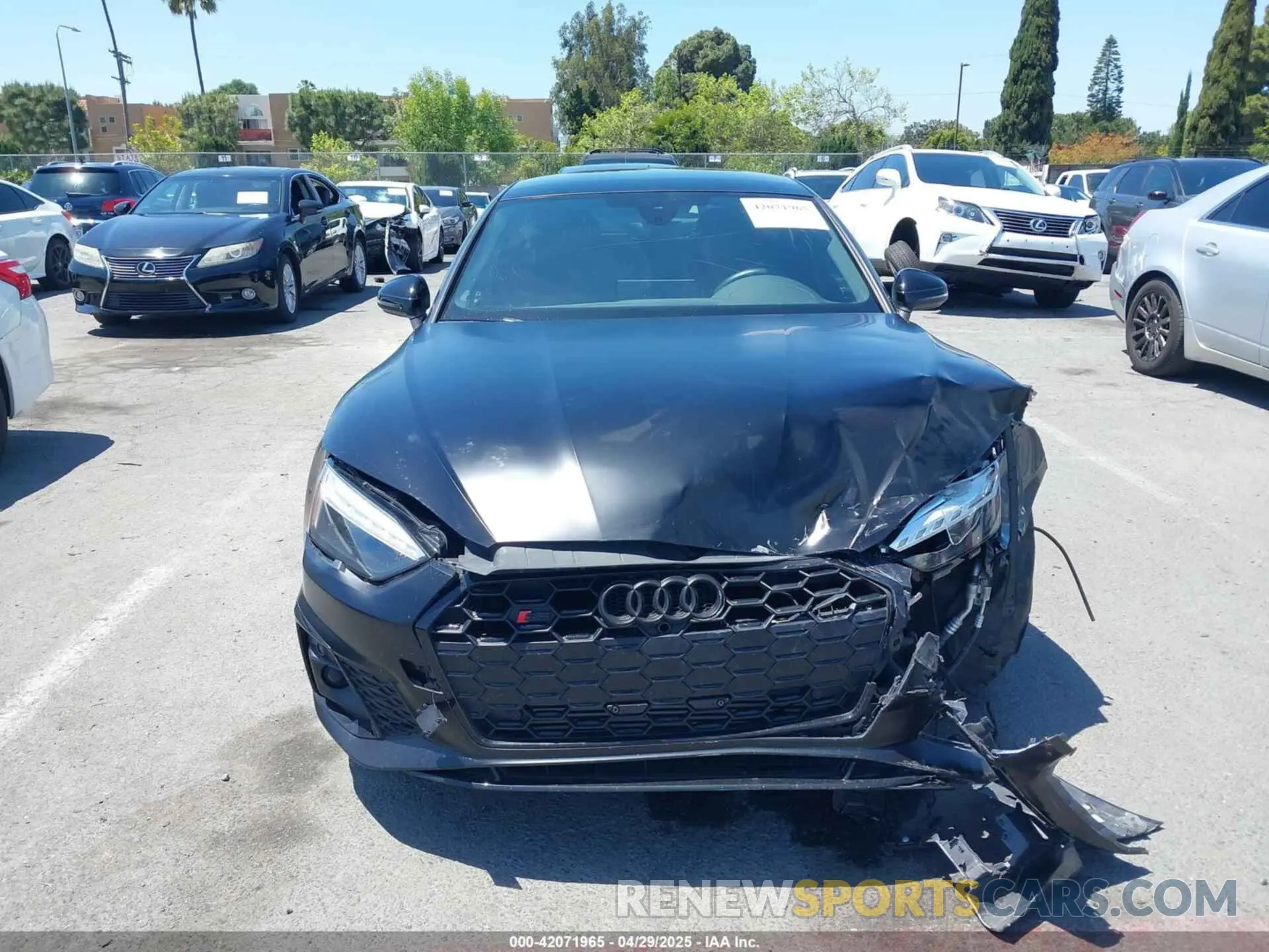 12 Photograph of a damaged car WAUC4CF58MA041642 AUDI S5 SPORTBACK 2021
