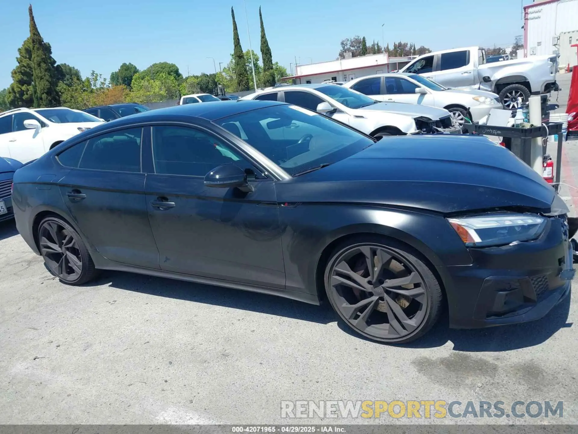 13 Photograph of a damaged car WAUC4CF58MA041642 AUDI S5 SPORTBACK 2021