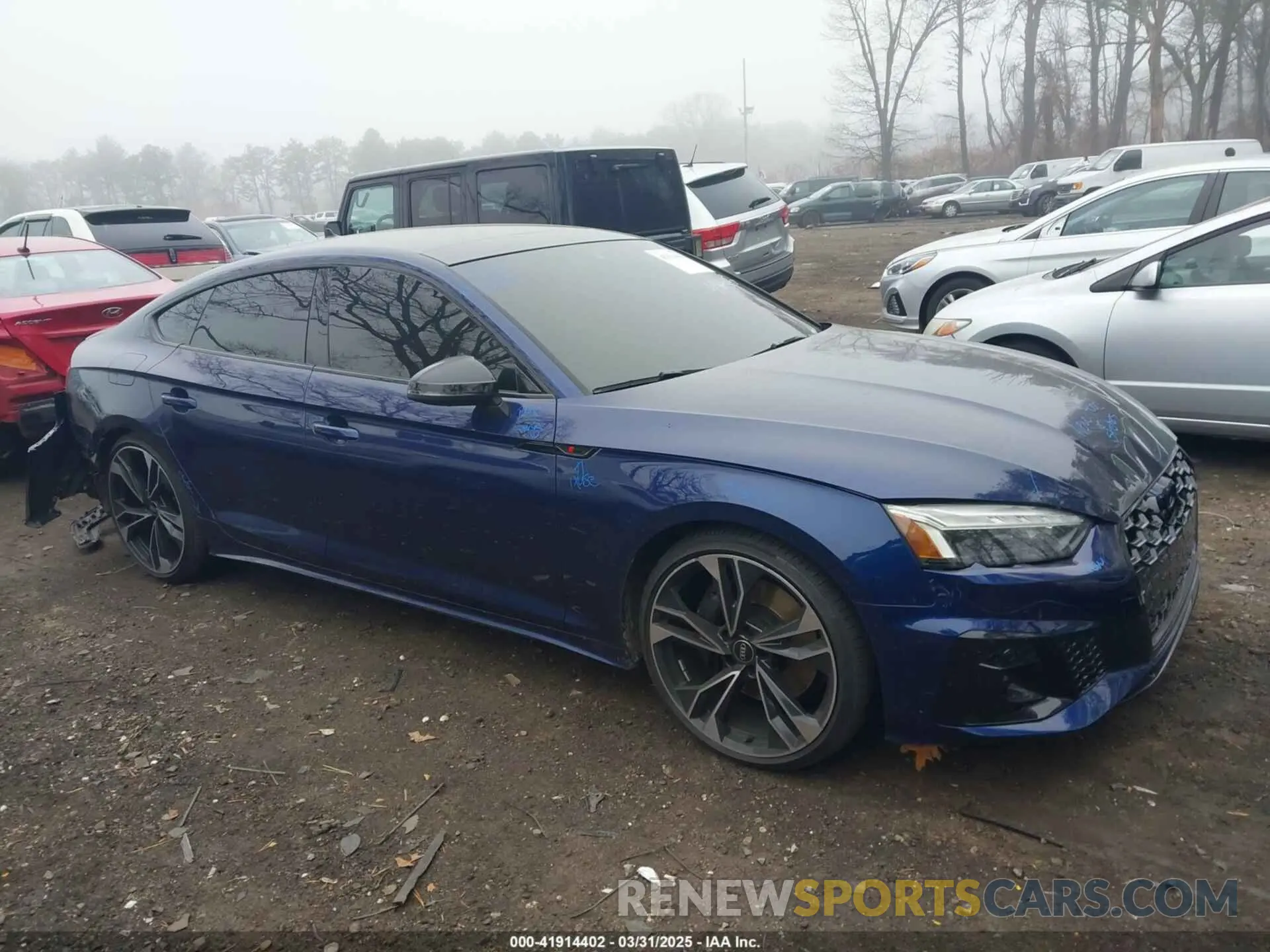 13 Photograph of a damaged car WAUC4CF5XRA069353 AUDI S5 SPORTBACK 2024
