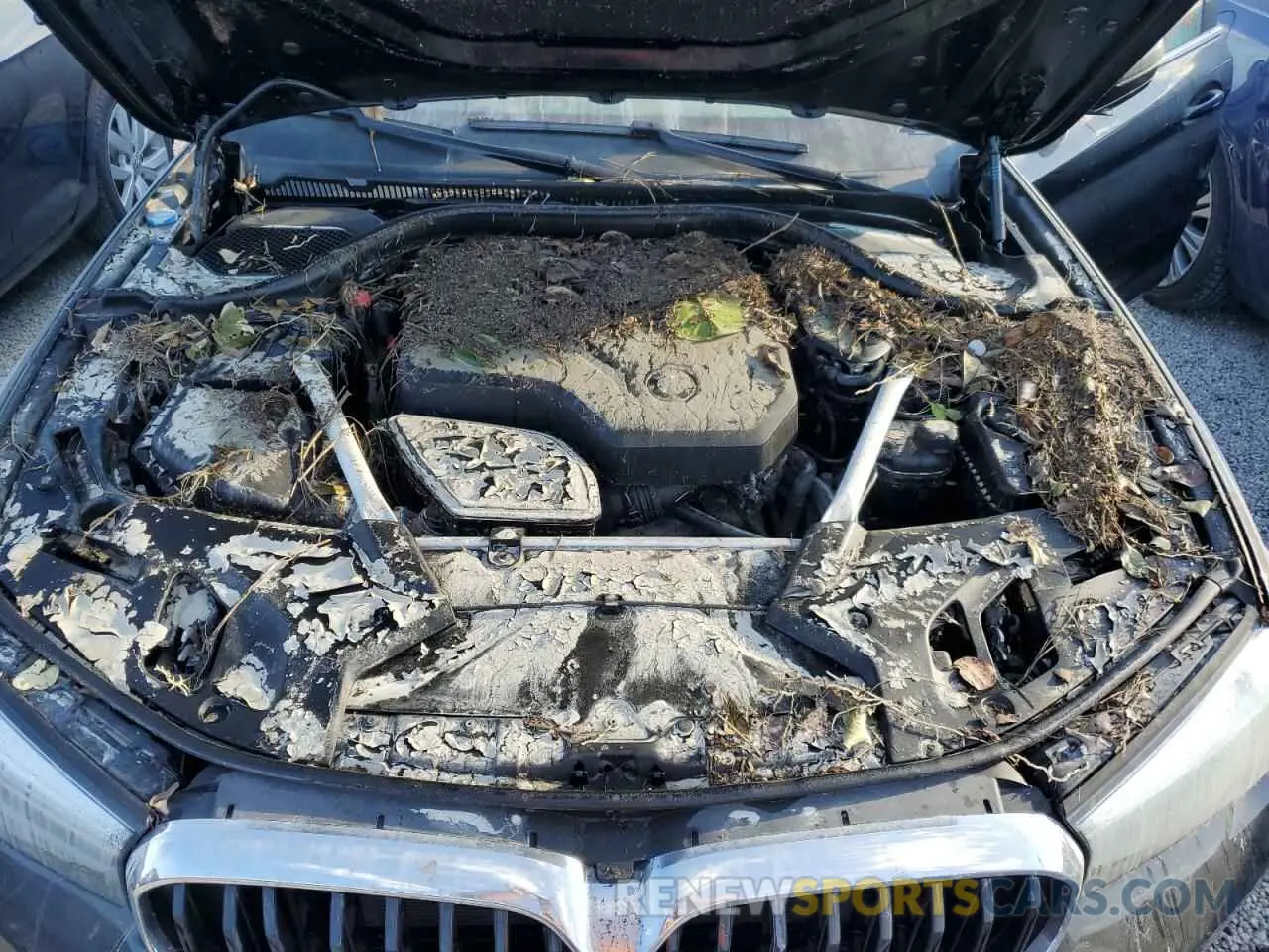 7 Photograph of a damaged car WBA53BH01NWX40073 BMW 5 SERIES 2022