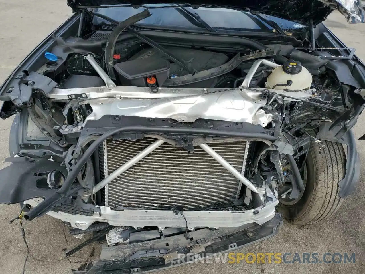 12 Фотография поврежденного автомобиля 5UXTR9C56KLD91088 BMW X3 2019