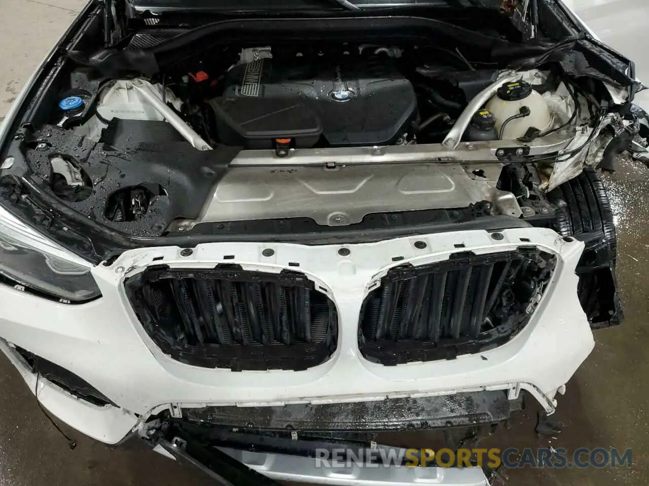12 Фотография поврежденного автомобиля 5UXTR9C59KLD90260 BMW X3 2019